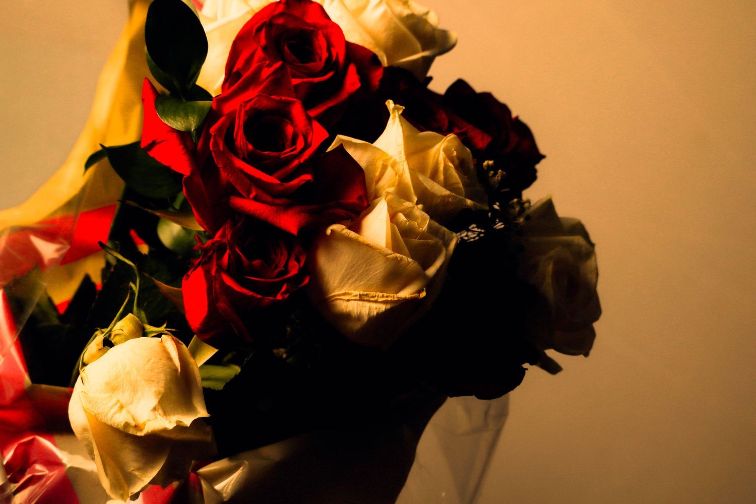 Red and white roses arranged in a glass vase, wrapped in warm-toned paper and softly lit against a dark, moody background close up of petals