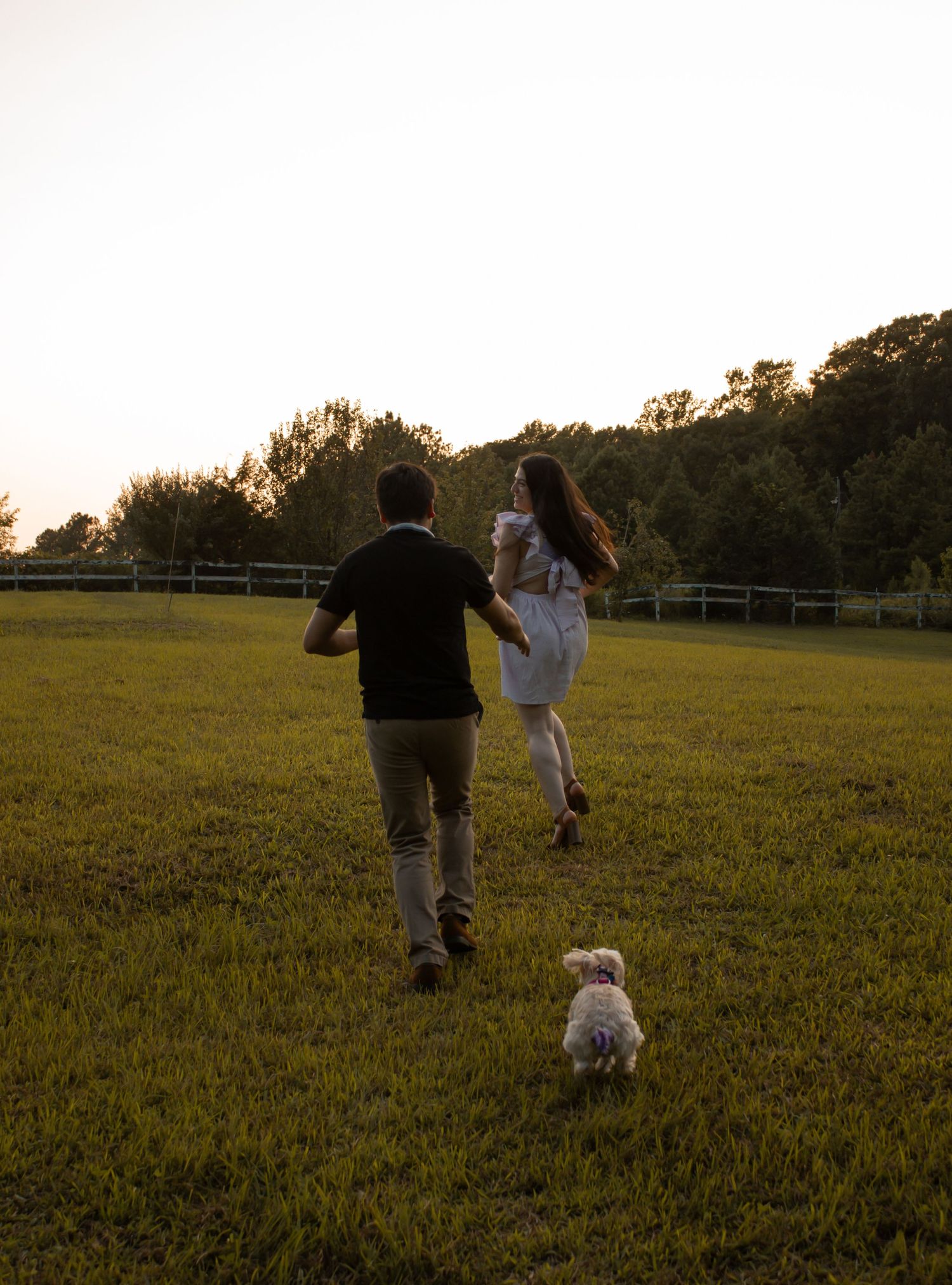 picture of couple walking away with back turned, their dog is following them at sunset.