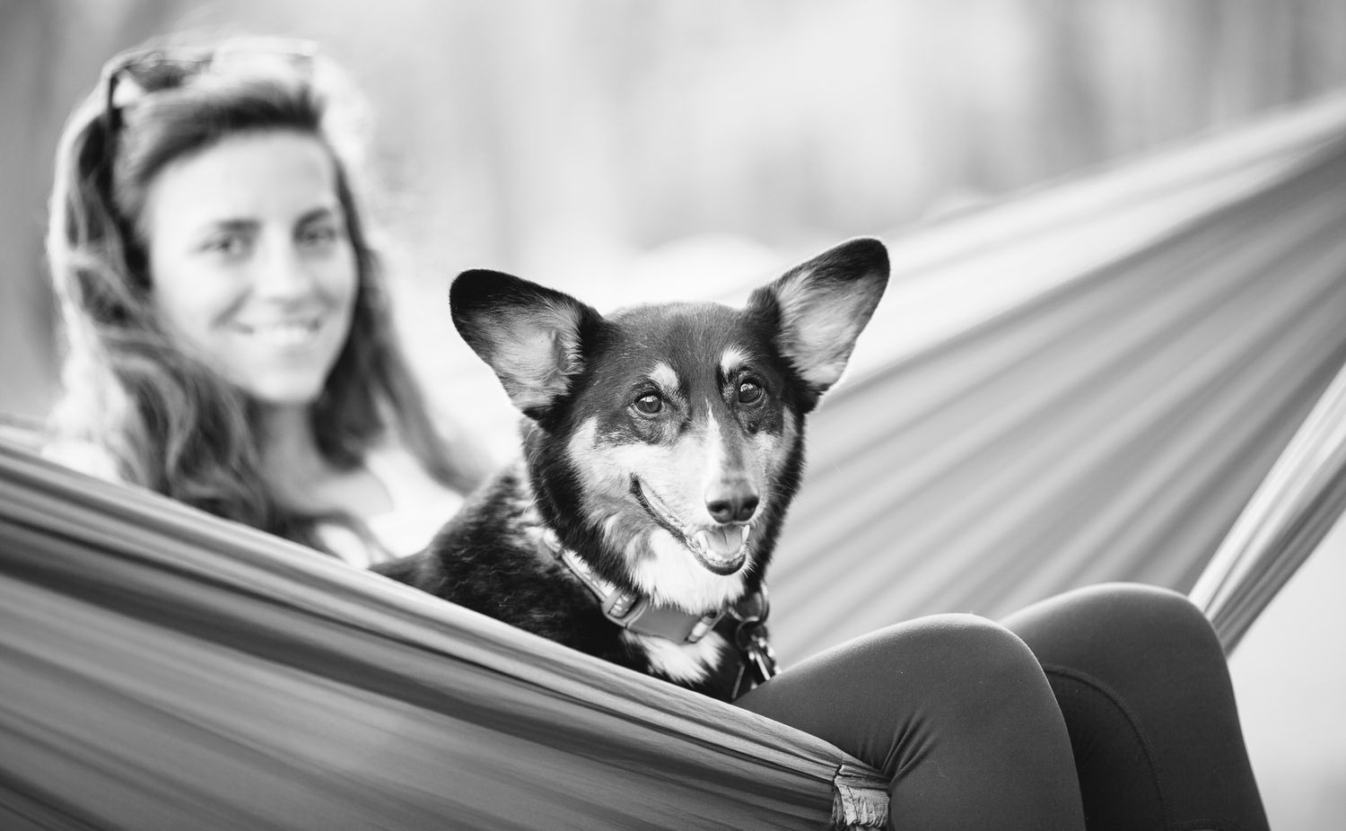 Woman relaxing in a hammock with her happy Corgi dog in a black and white outdoor photo.