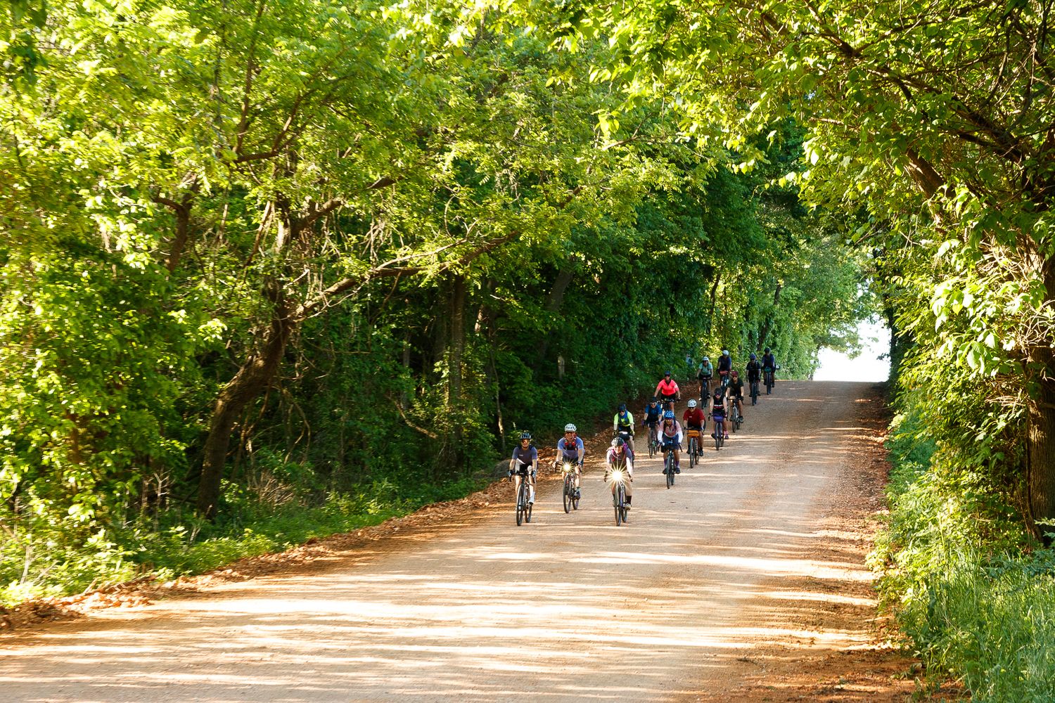 Group of cyclists riding along a tree-lined gravel path in lush green forest.