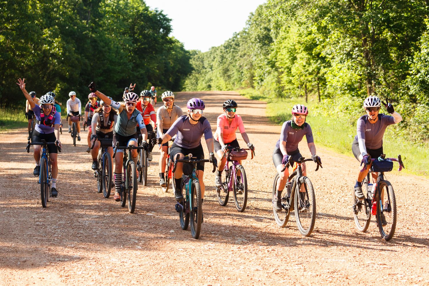 Large group of gravel cyclists riding together on a sunny dirt road lined with trees.
