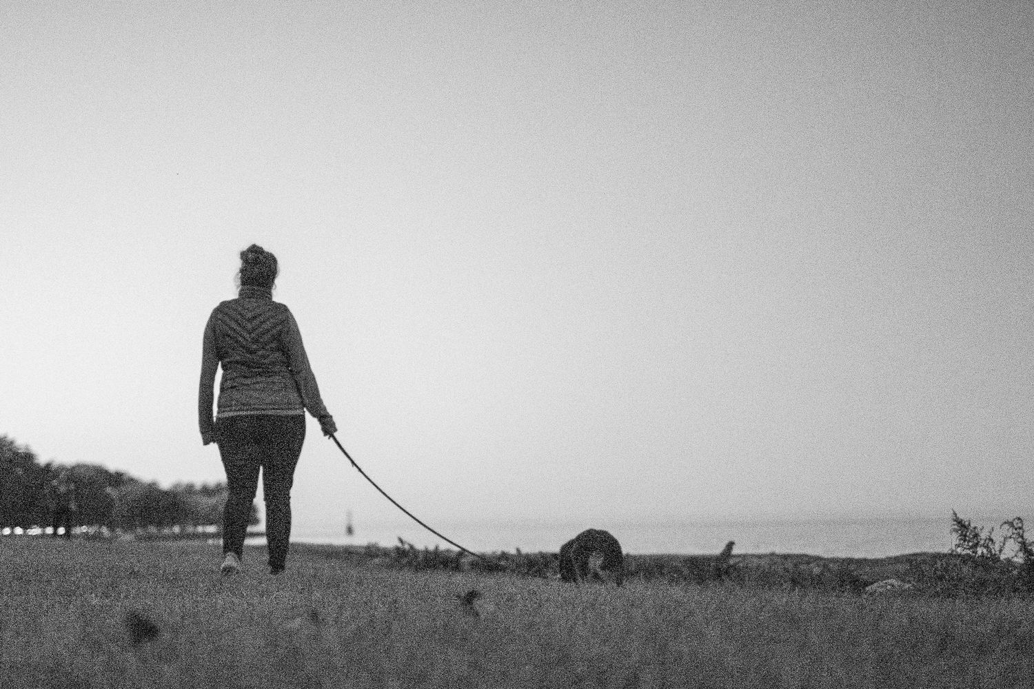Silhouette of woman walking dog on leash in open field near water, black and white photo.