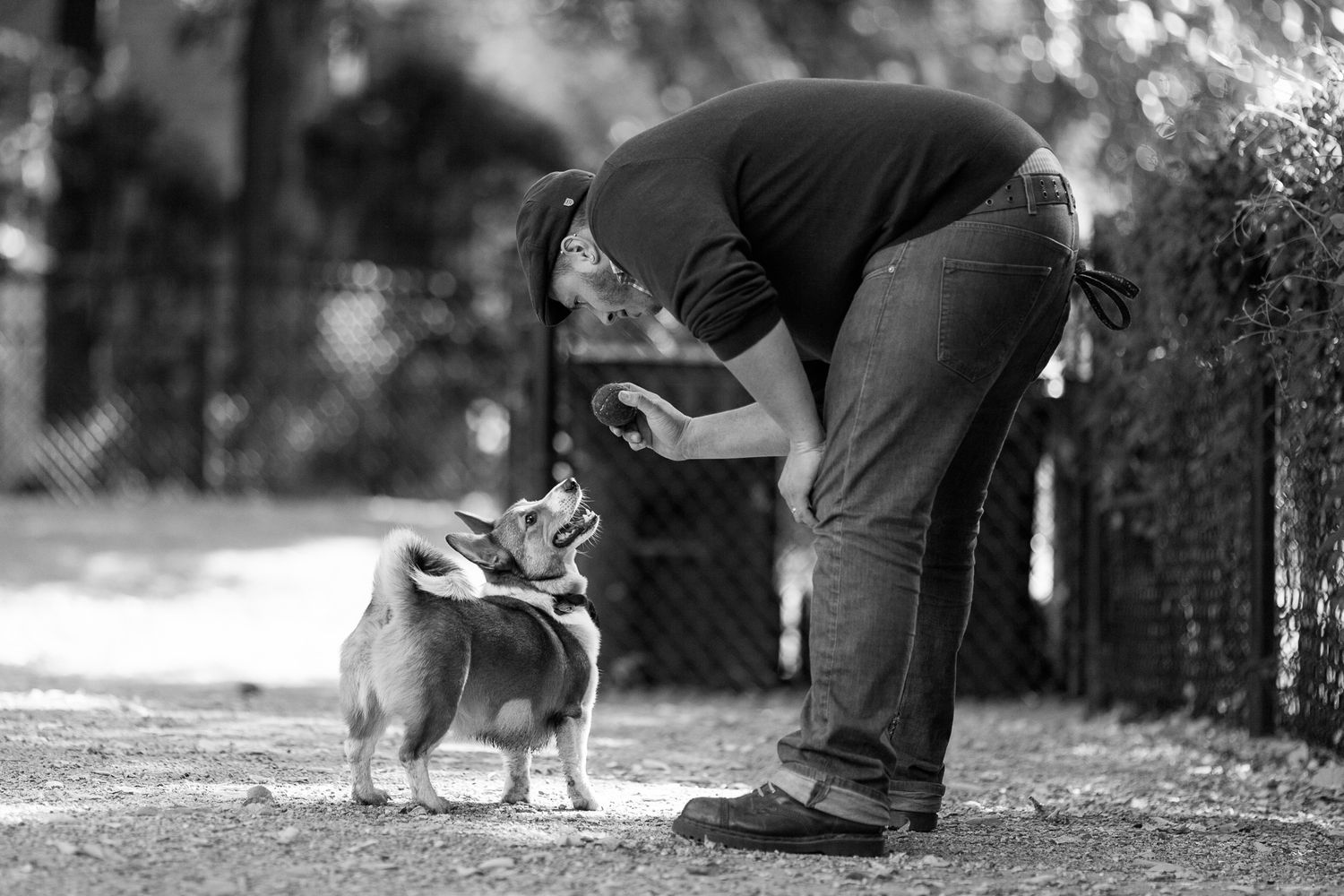 Person bending down to interact with a small Corgi dog in a black and white park photo.