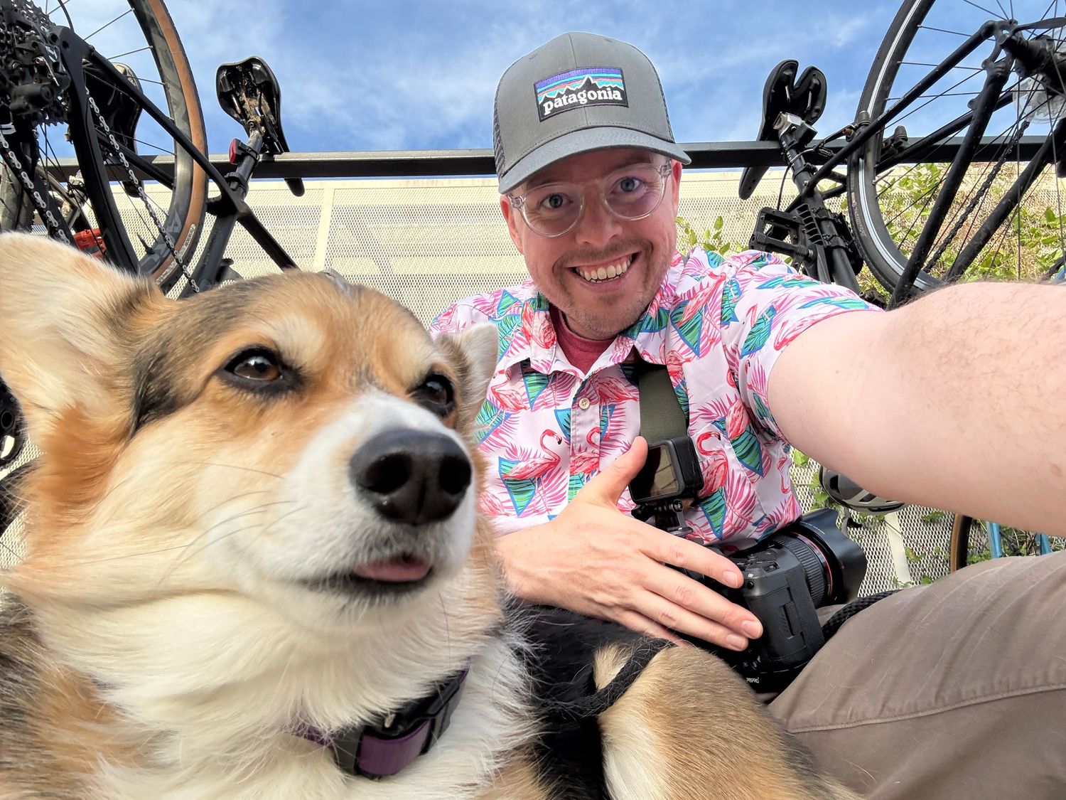 Man in pink flamingo shirt and Patagonia hat takes selfie with fluffy corgi near bicycles outdoors.