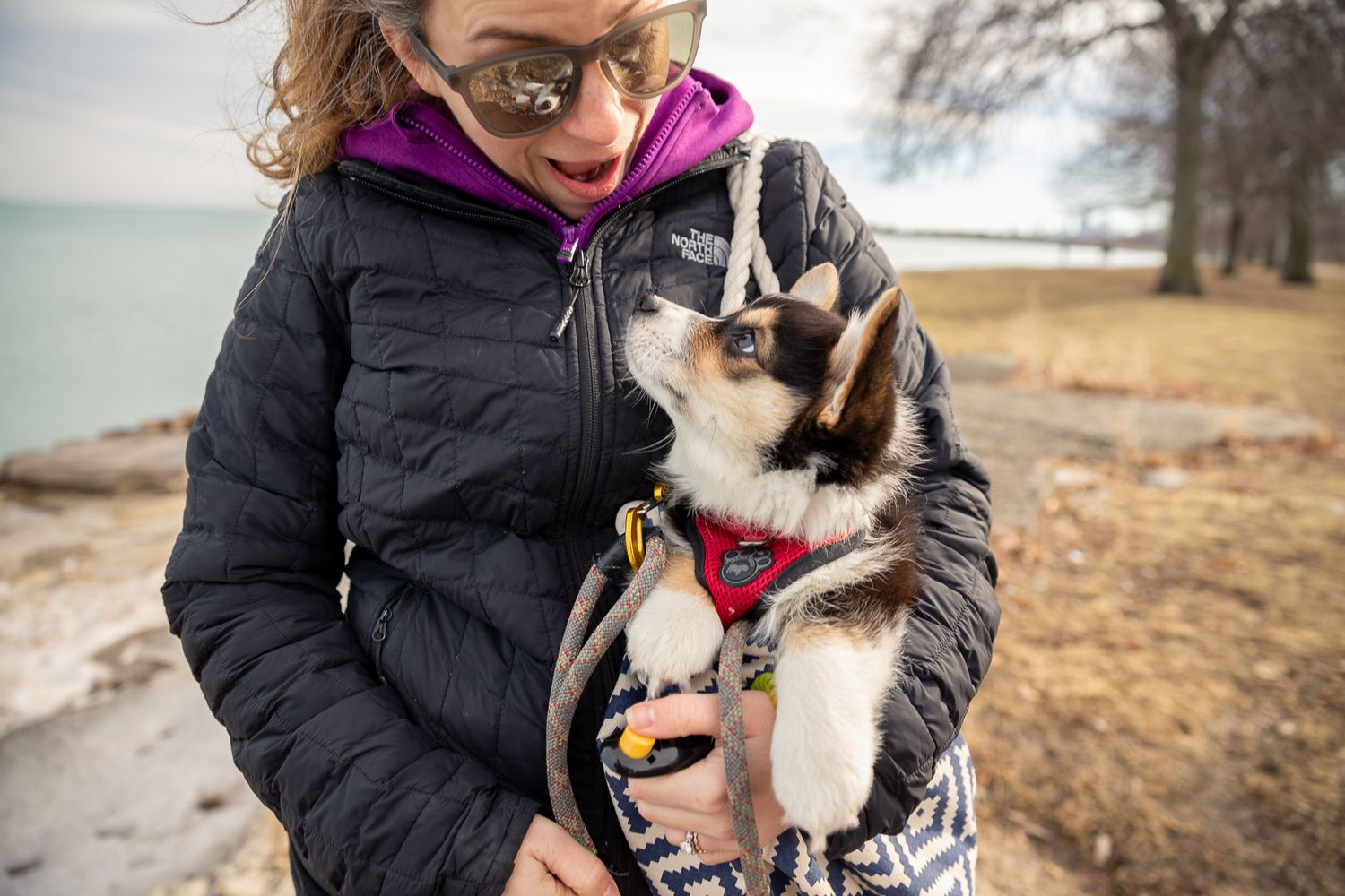 Woman holding a small Husky puppy wearing a red harness near a lakeside on a cloudy day.