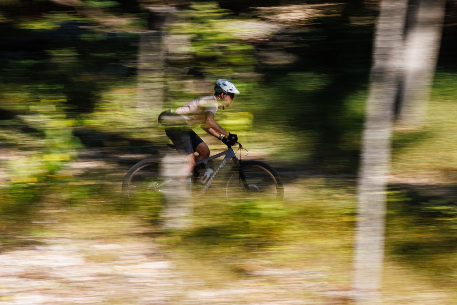 Motion blur action shot of cyclist riding mountain bike through sunlit forest trail.