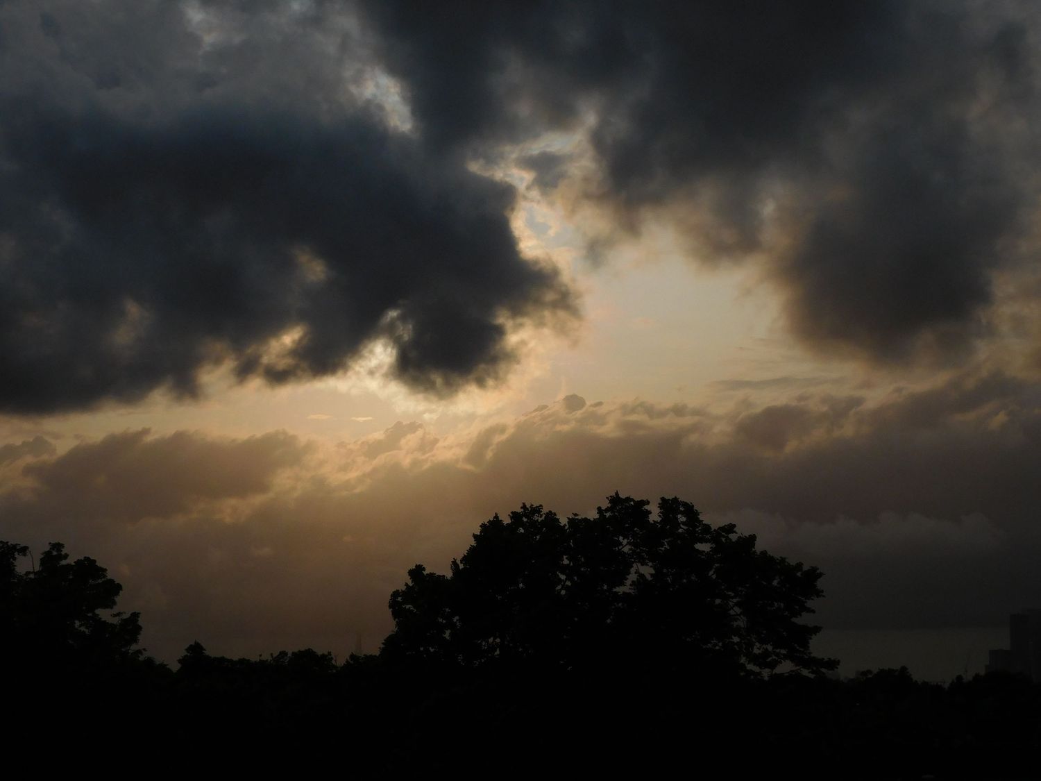 Dramatic dark storm clouds gathering over silhouetted trees at dusk with golden sky.