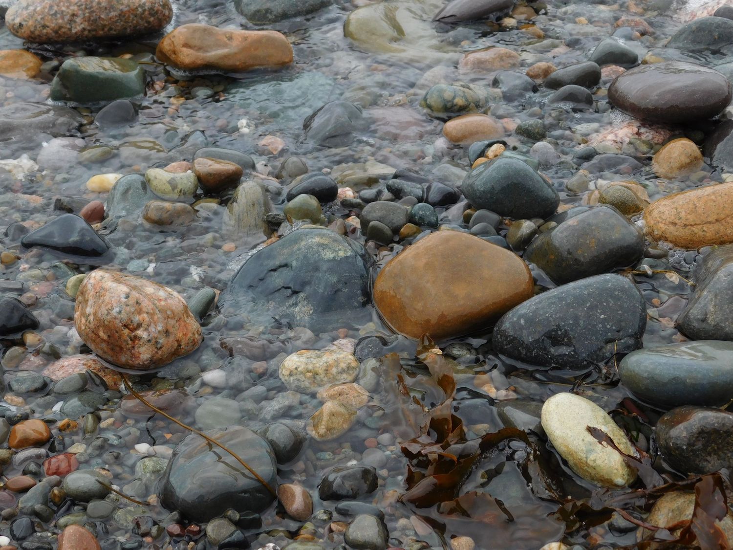 Colorful smooth wet pebbles and rocks scattered along a shallow rocky shoreline.