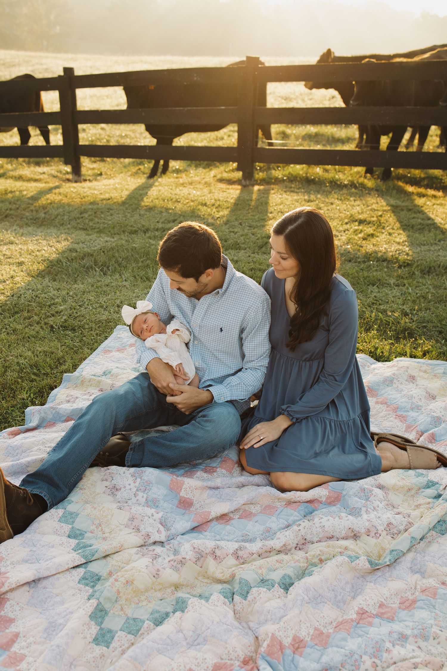 A couple sits on a quilt in a sunlit farm field, tenderly looking at their newborn baby with horses grazing behind them.