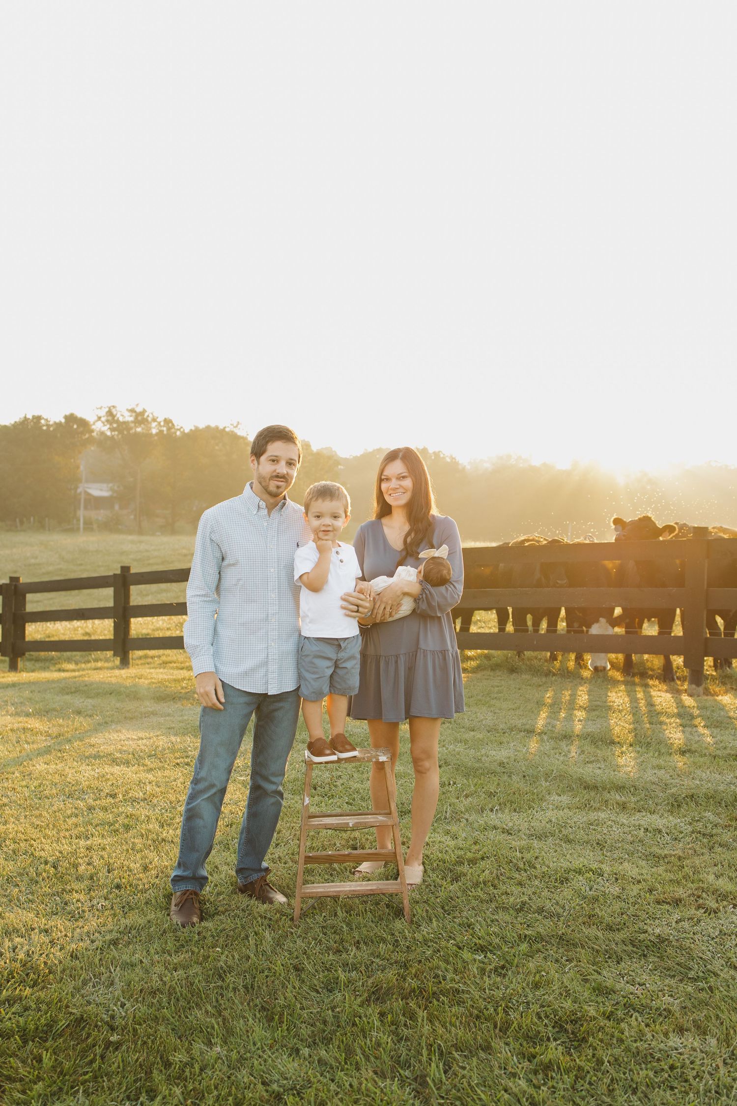 Family of three poses on a wooden ladder in a sunlit farm field with cattle and a fence in the background.
