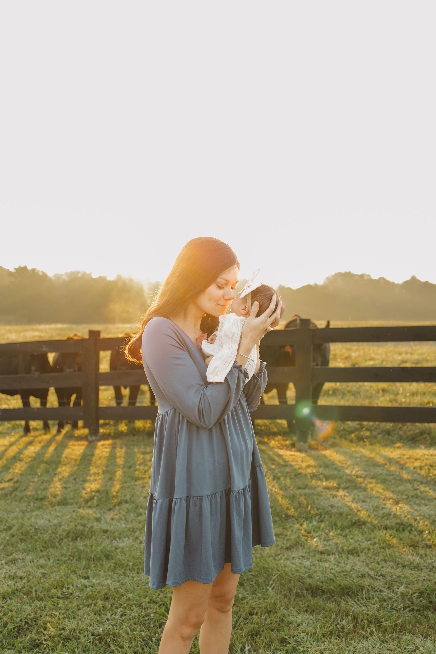 Woman in blue dress holding a puppy at golden hour near a wooden fence with cattle grazing in background.