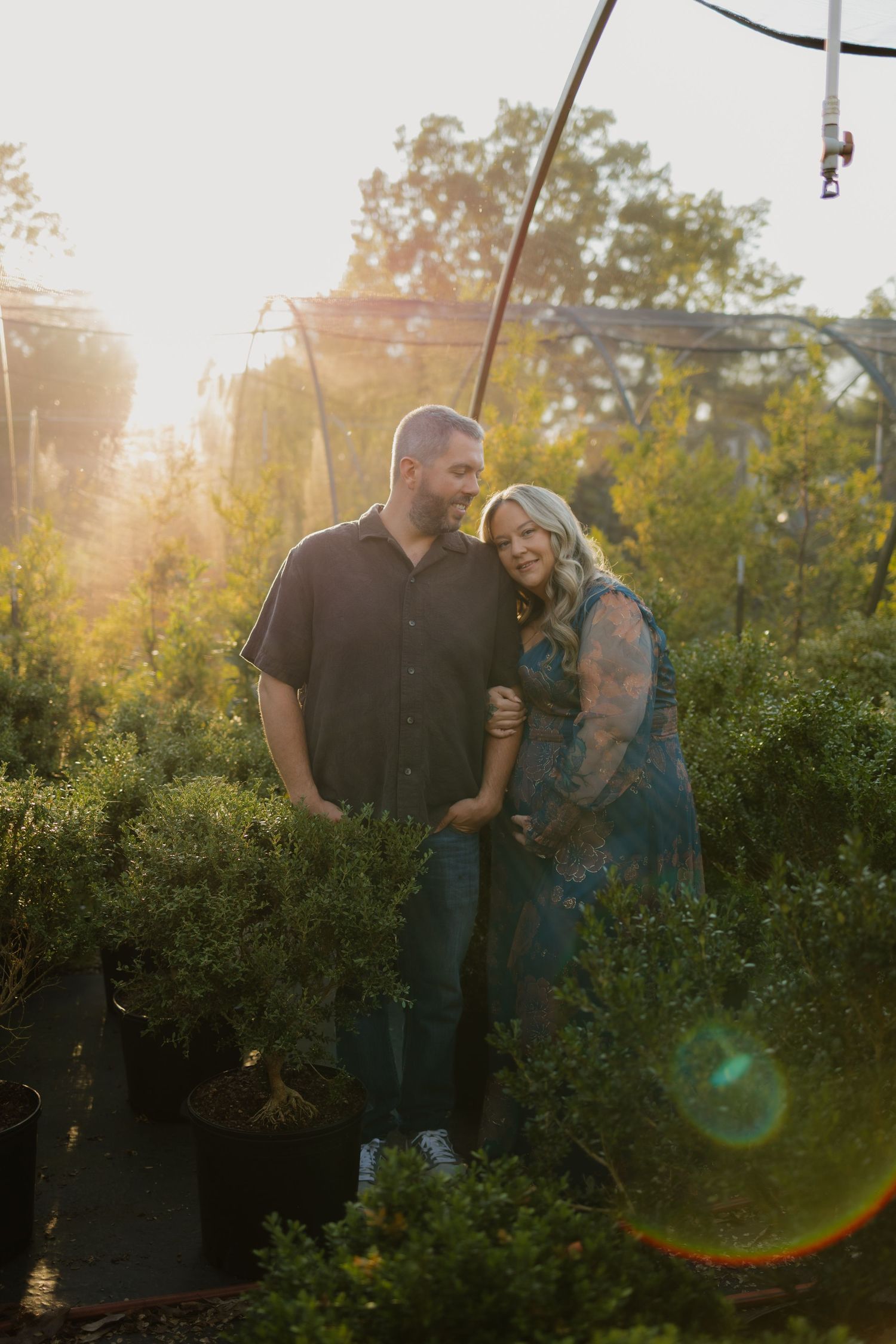 Couple embracing among lush green plants in golden hour sunlight at a garden nursery.