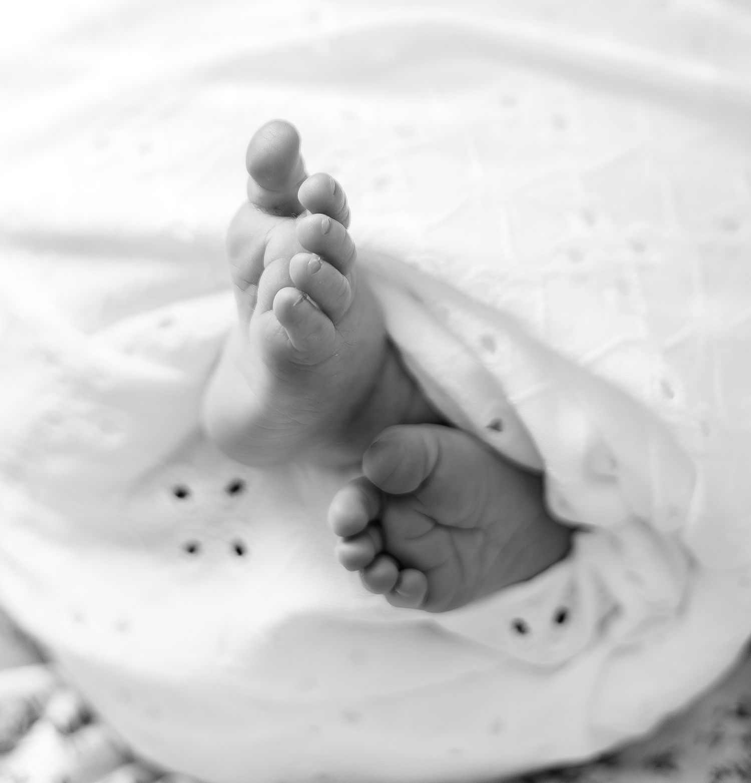 Close-up black and white photo of newborn baby feet wrapped in a soft white blanket.