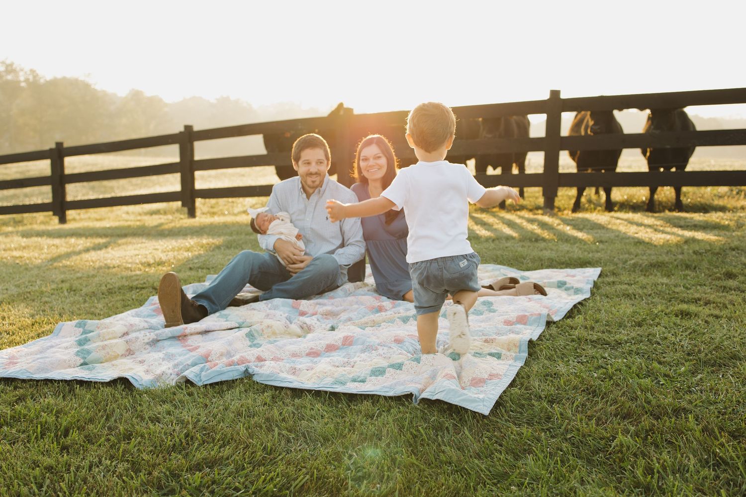 Family enjoying a sunny picnic on a quilt in a green pasture with horses and a wooden fence backdrop.