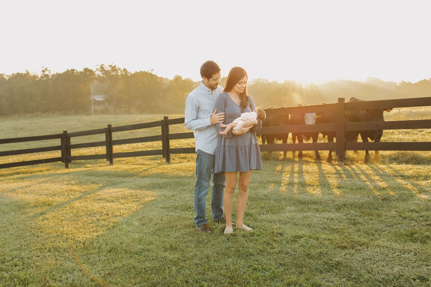 Young couple holding newborn baby in golden sunset light on a farm with black fence and cattle.