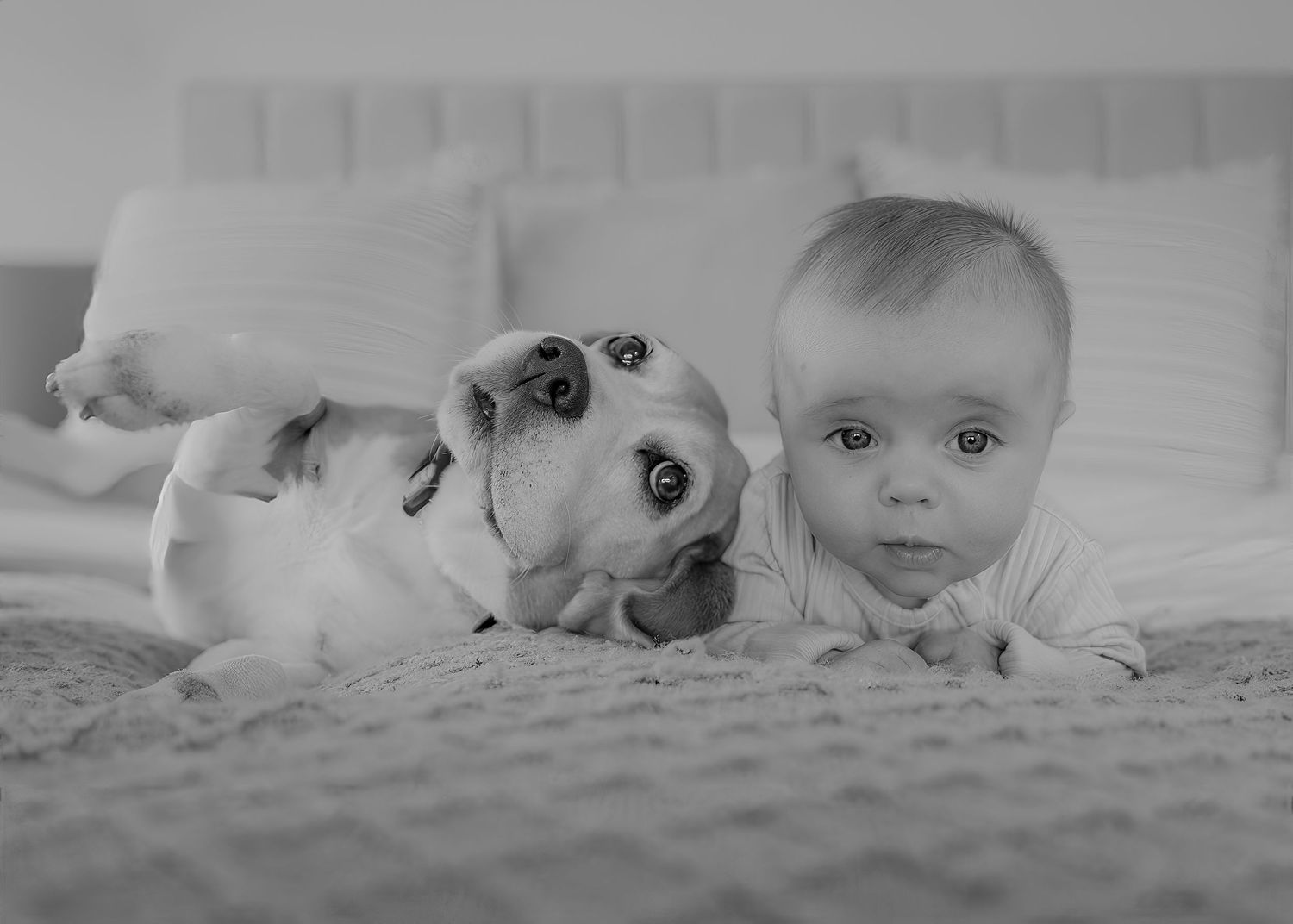 Black and white photo of a cute baby and bulldog puppy lying together on a bed, both looking at the camera.