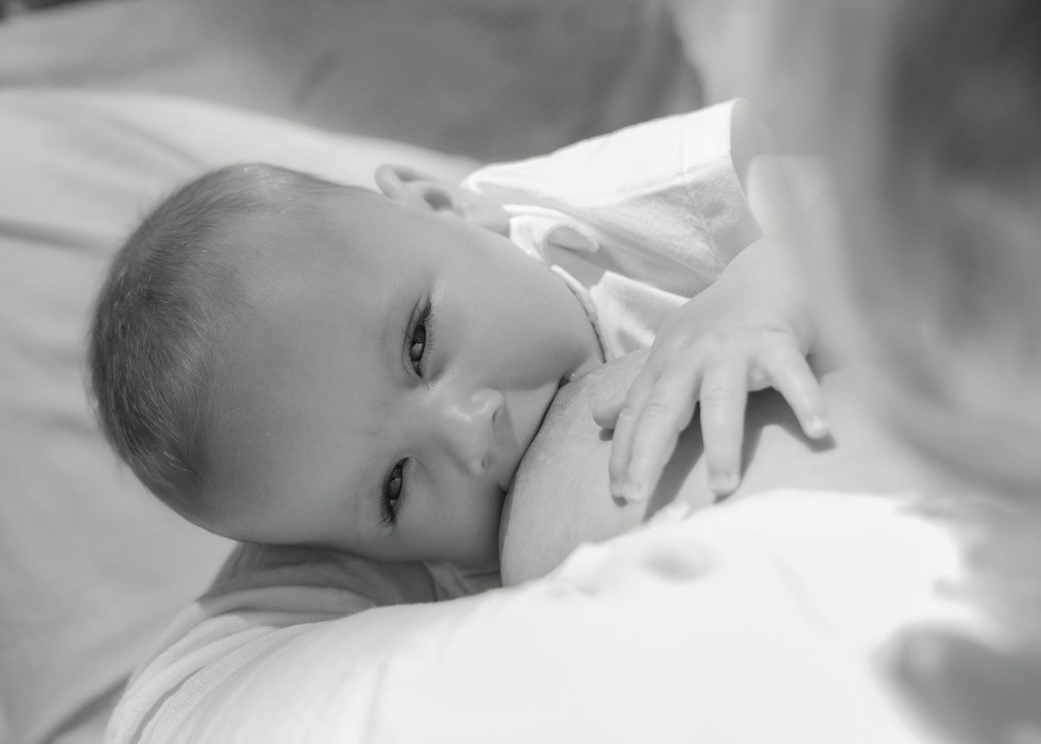 Black and white photo of a baby breastfeeding looking at the camera