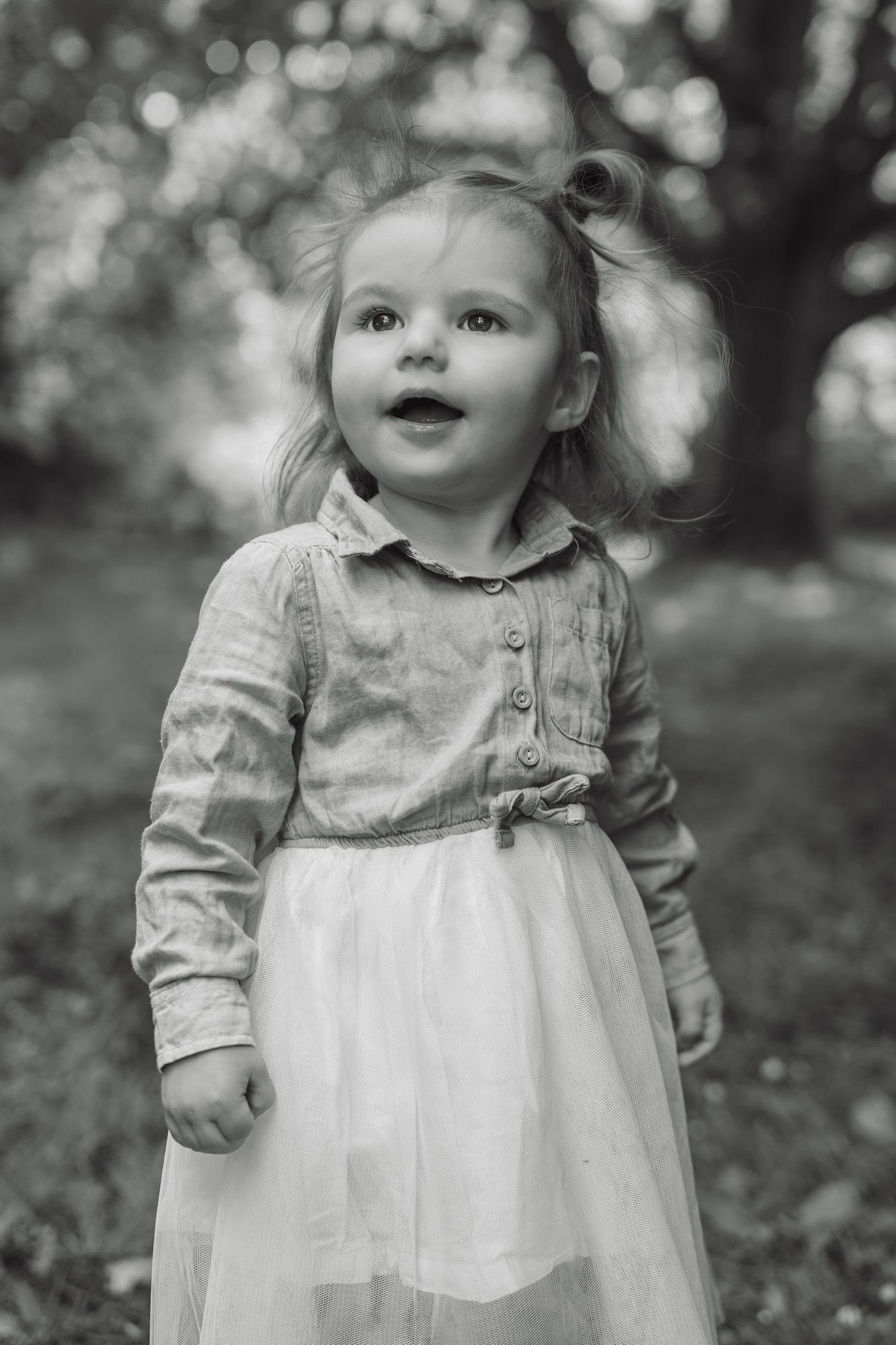 Black and white portrait of a wide-eyed toddler girl in a denim shirt and tulle skirt in a park.