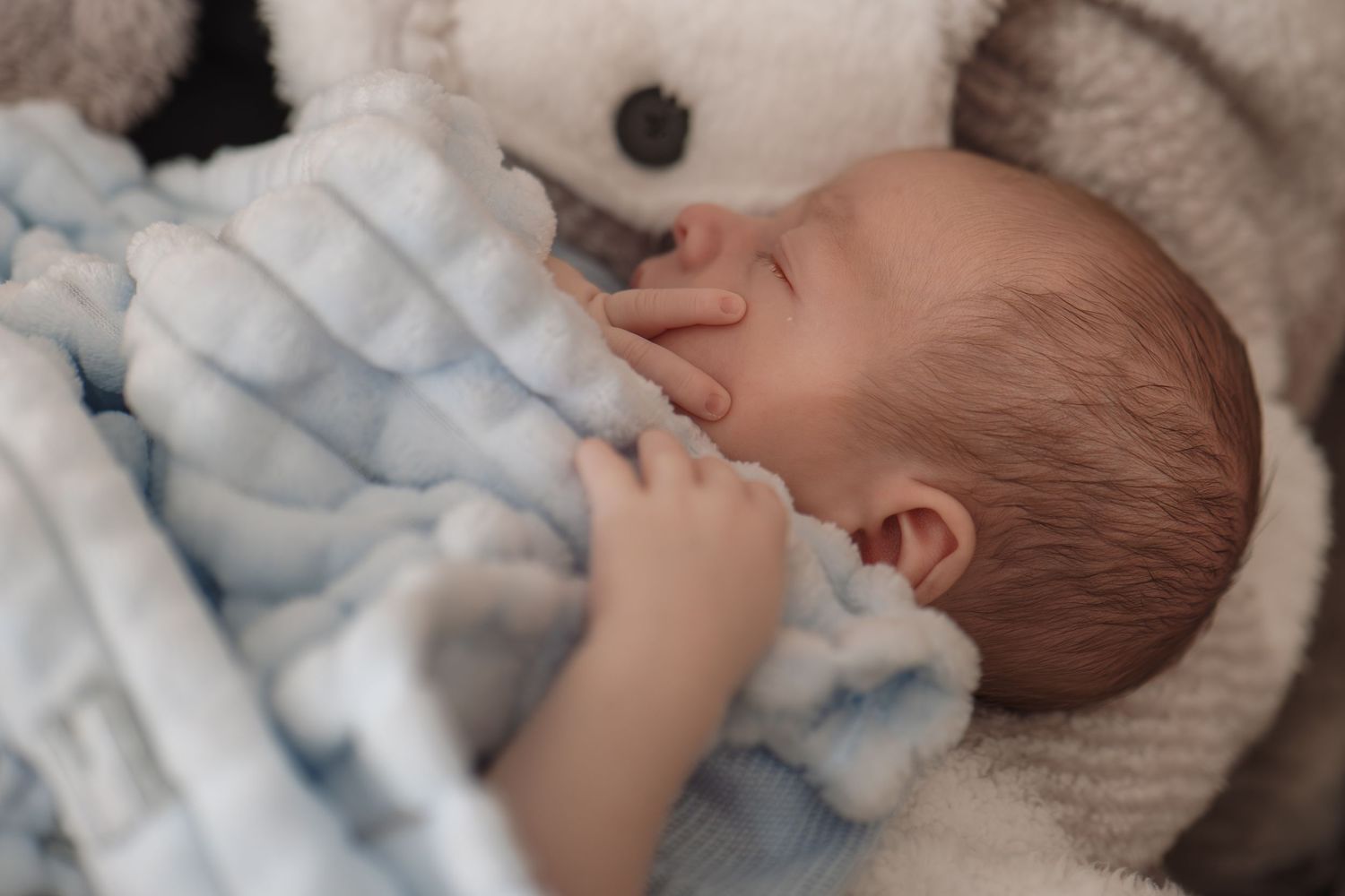Newborn baby sleeping peacefully on a soft blue blanket next to a teddy bear.