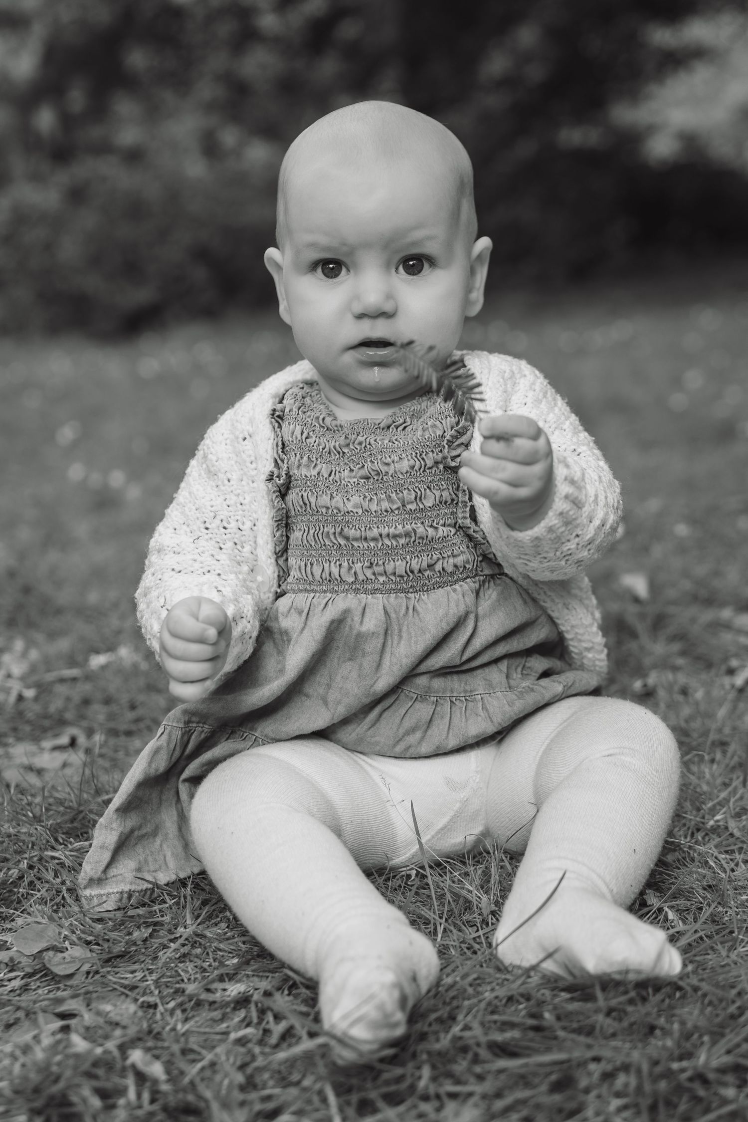 Black and white portrait of a bald baby girl in a knit cardigan sitting on grass holding a small flower.