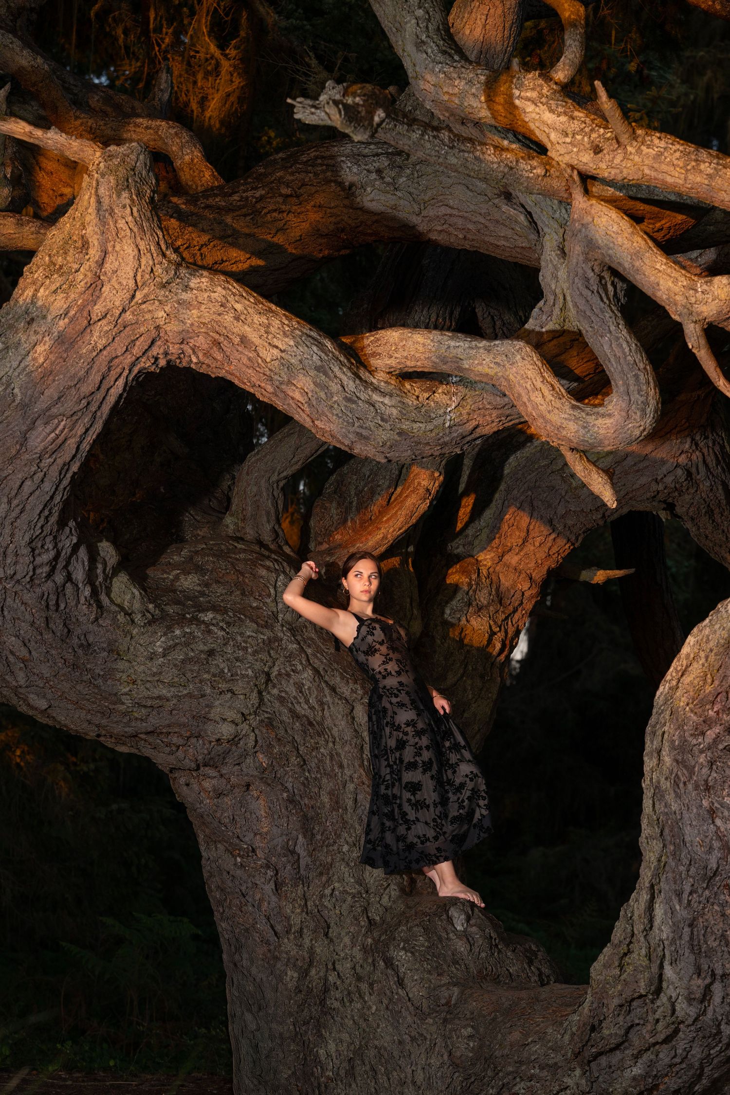 Woman in a dark floral dress standing elegantly among the gnarled branches of an ancient tree.