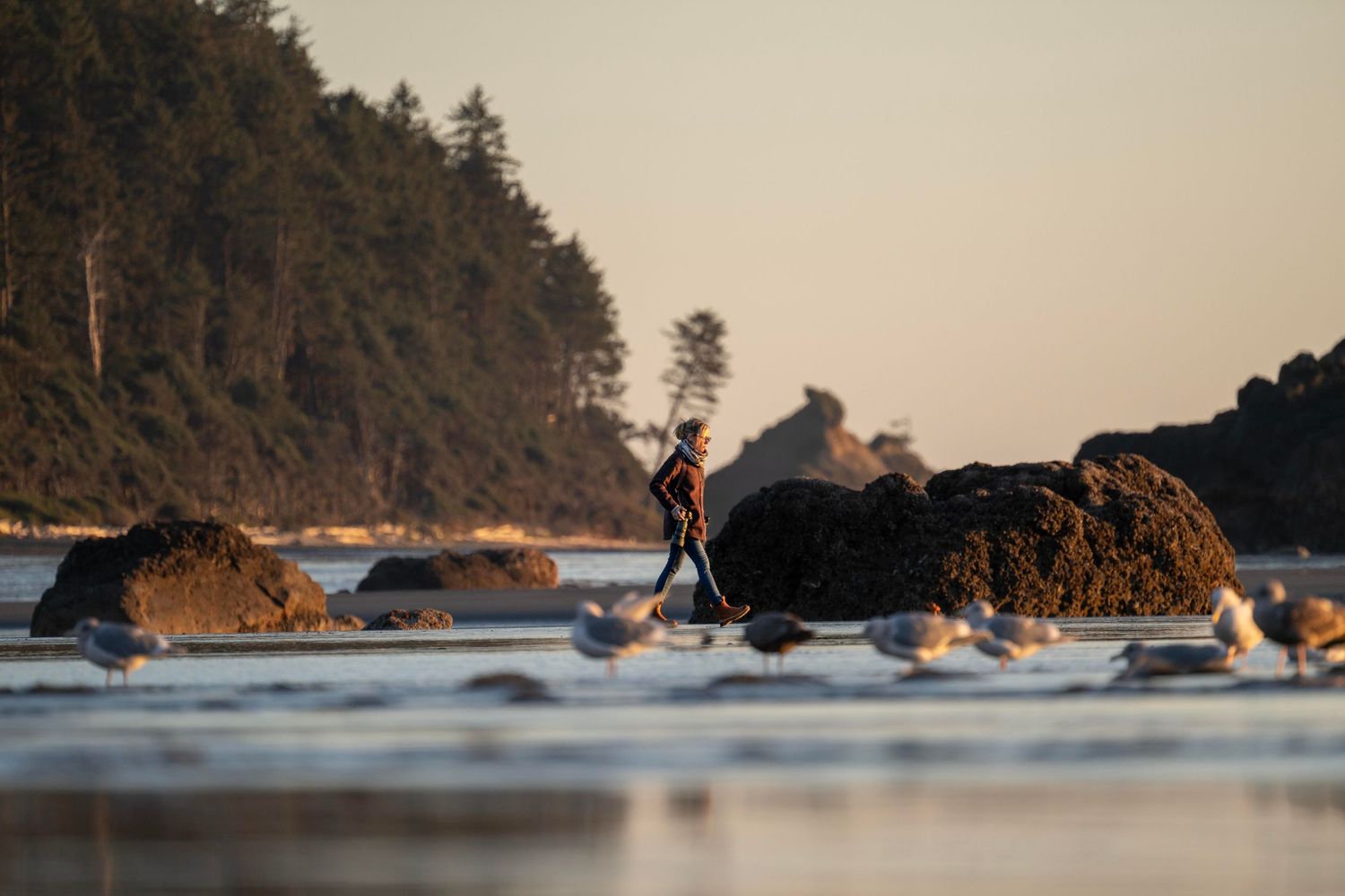 Person standing on rocky Pacific Northwest beach at golden hour surrounded by seagulls and sea stacks.