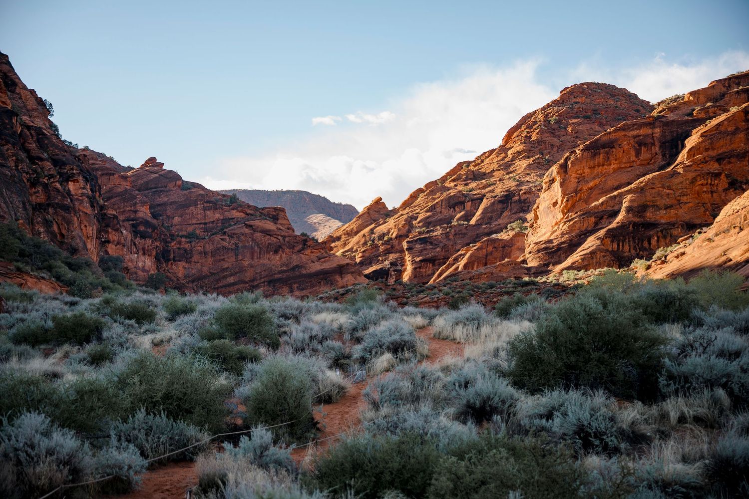 Scenic red rock canyon landscape with desert shrubs under a blue sky at golden hour in Southwest USA.