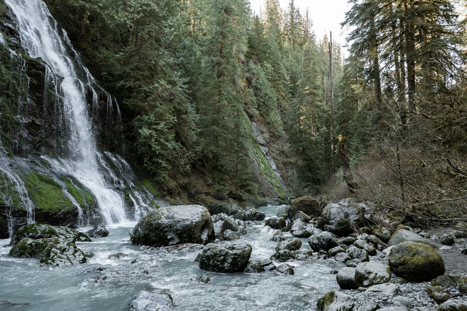 A stunning waterfall cascades over mossy rocks into a rushing river surrounded by tall evergreen trees in a lush forest.