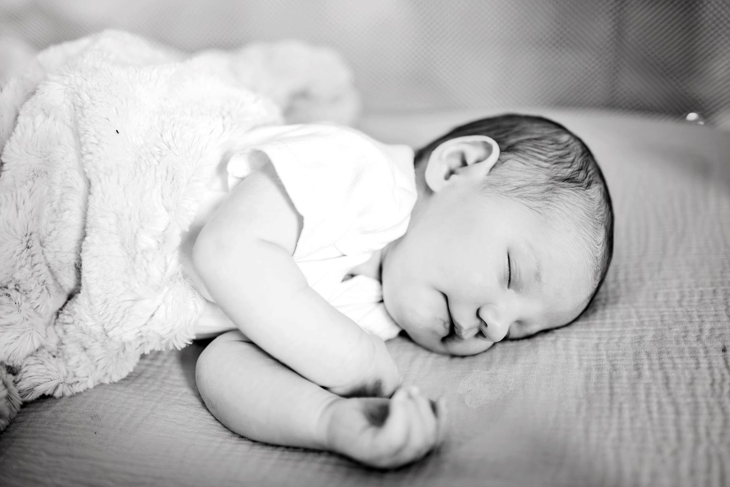 Newborn daughter sleeping in bassinet. Ottawa Newborn Photography. Ottawa Family Photography