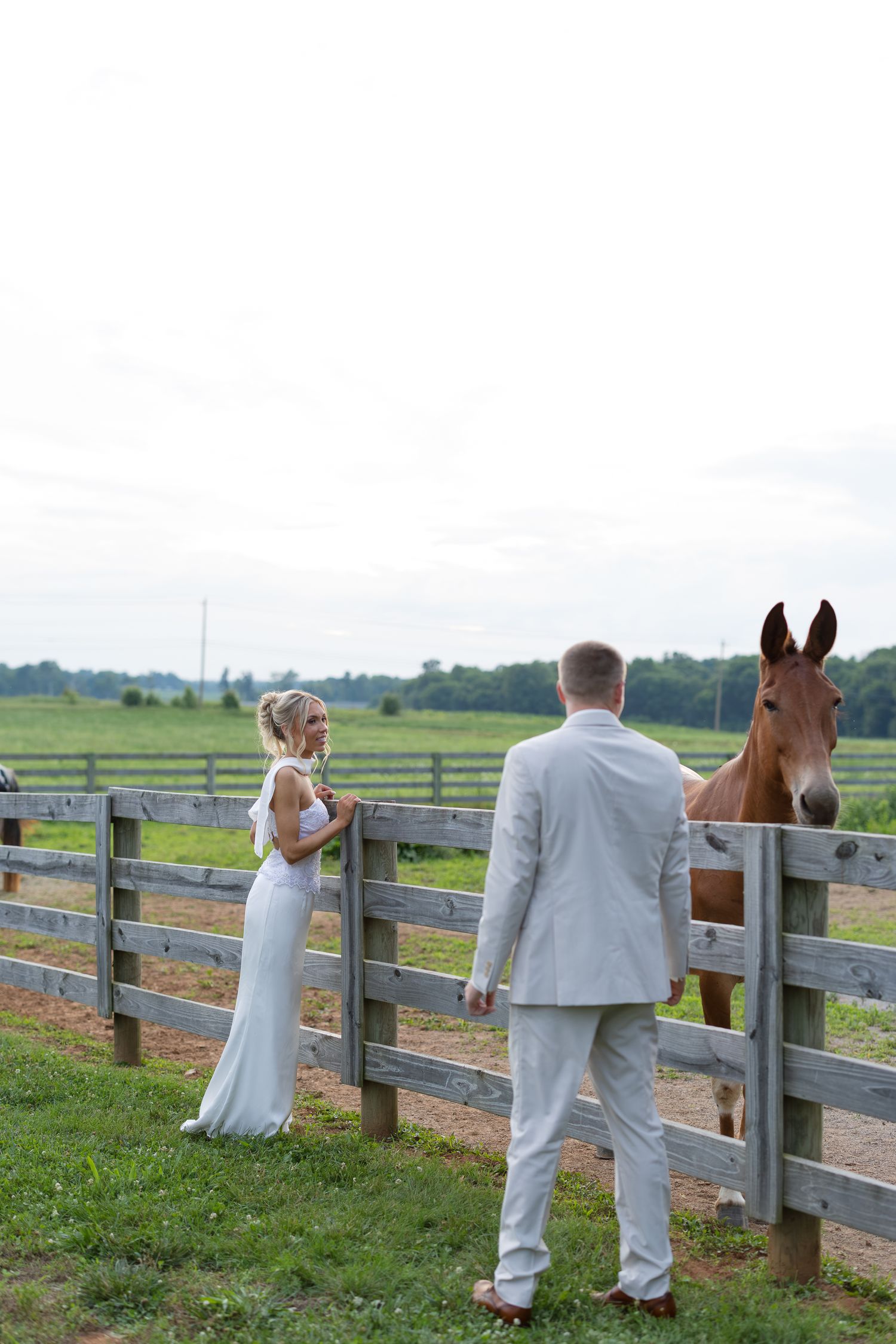 Bride and groom in white attire stand by a wooden fence admiring a brown horse on a lush green farm.