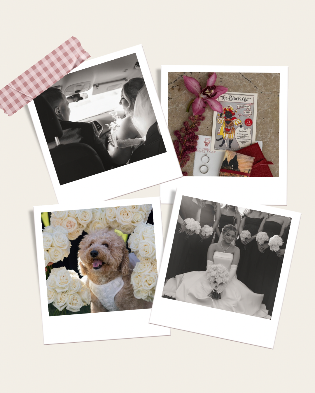 Collection of wedding photographs and memorabilia with pink gingham accents.
