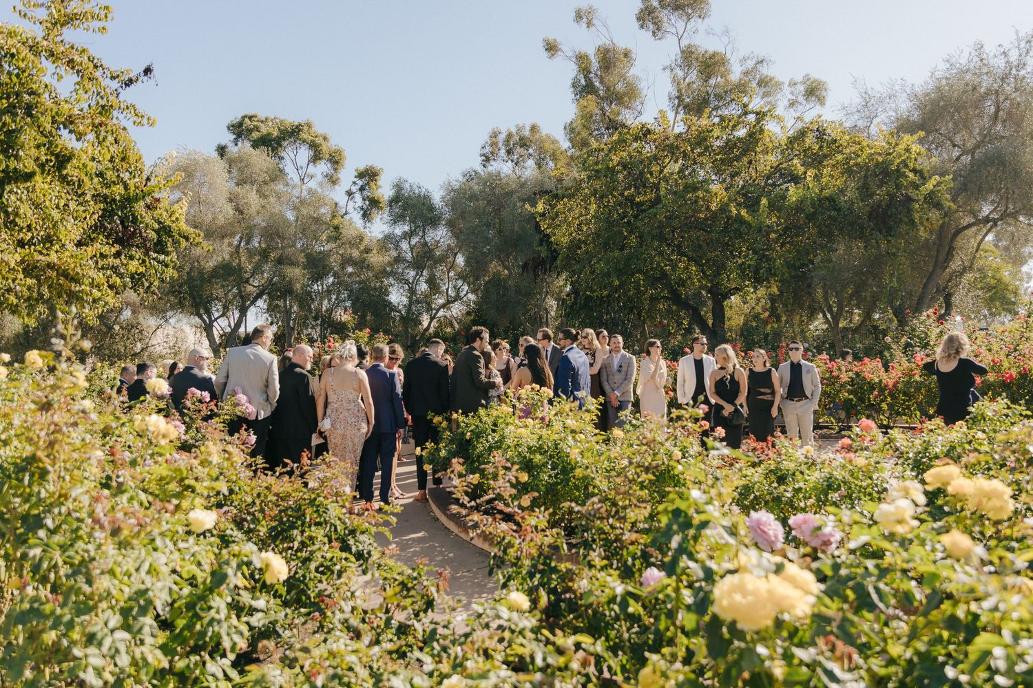A panoramic view of people gathering in a lush garden with blooming roses and trees on a sunny day.