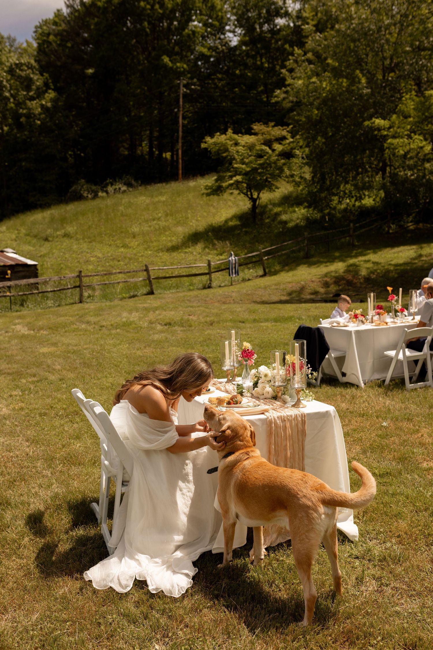 A bride in a white dress feeds a golden dog at an outdoor wedding reception table on a green lawn.
