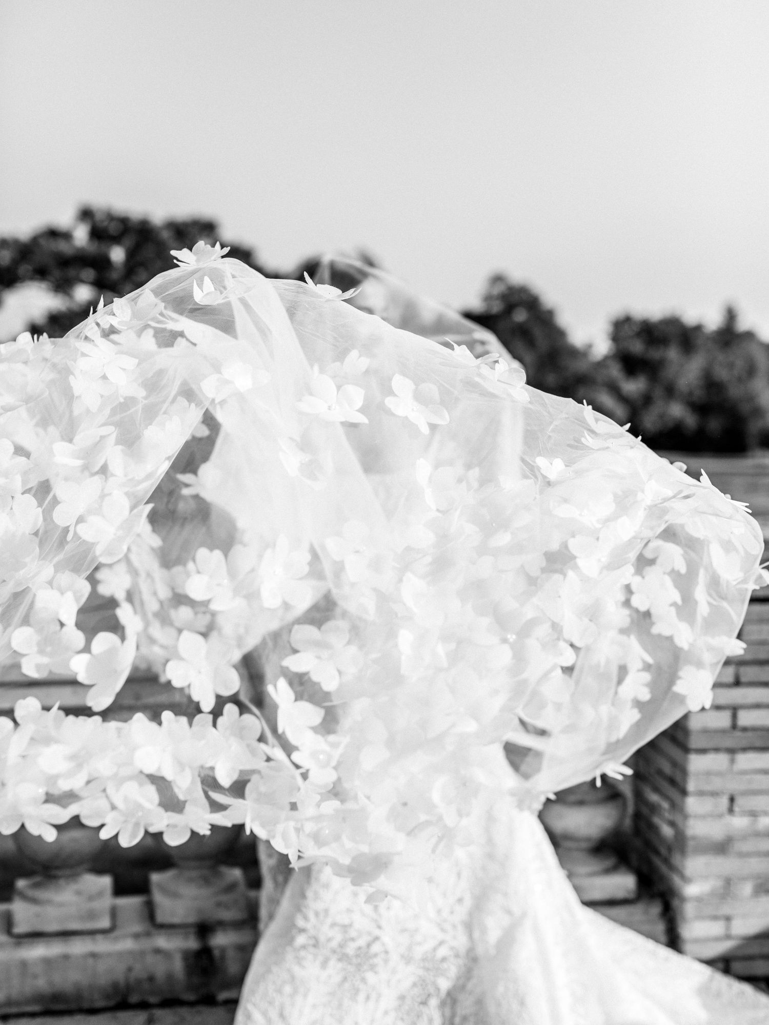 Close-up black and white detail of floral applique wedding dress veil blowing in wind outdoors.