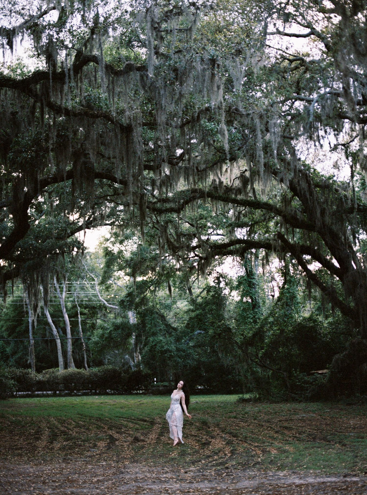 Woman in white dress standing beneath sprawling moss-draped oak trees in a lush park.