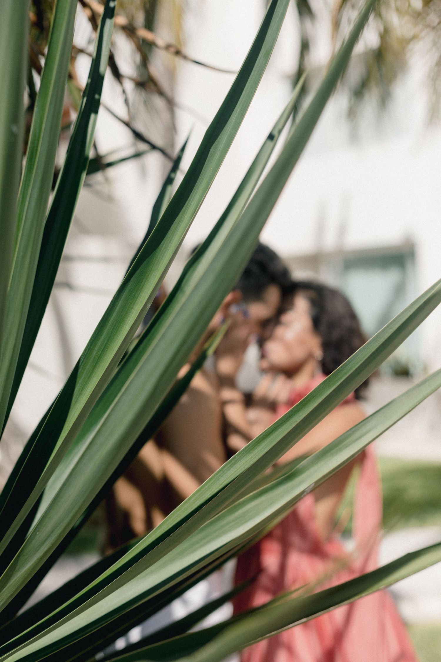Couple sharing a tender kiss behind lush green tropical plant leaves in outdoor setting.