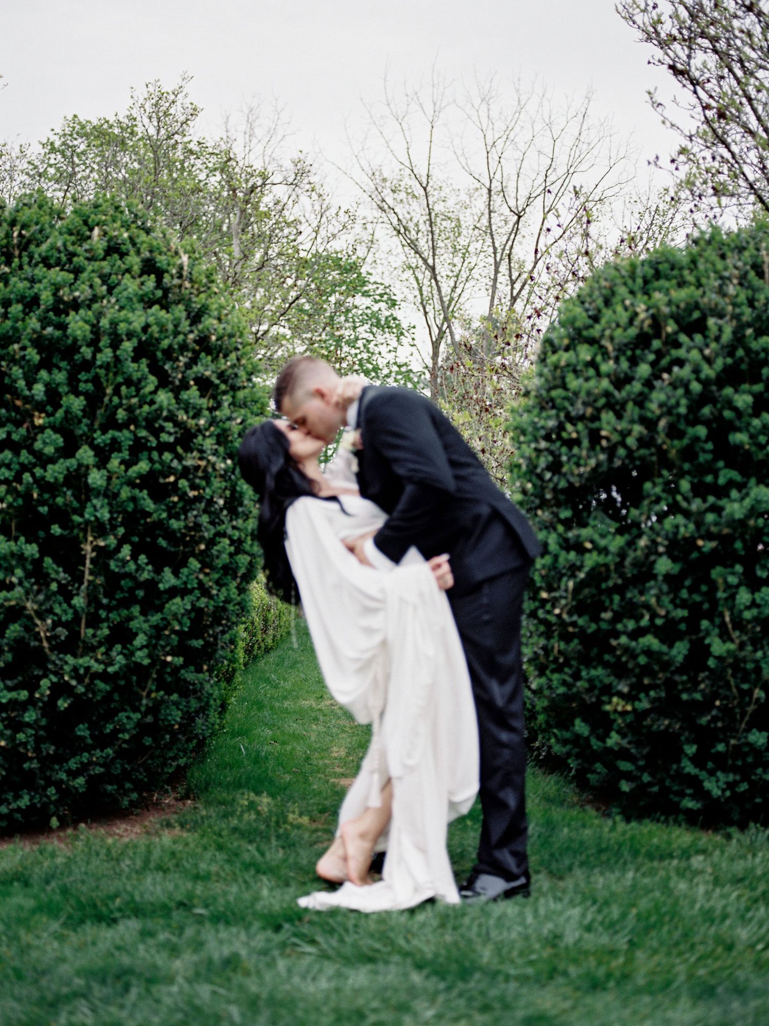 Groom dipping bride for a romantic kiss between green garden hedges outdoors.