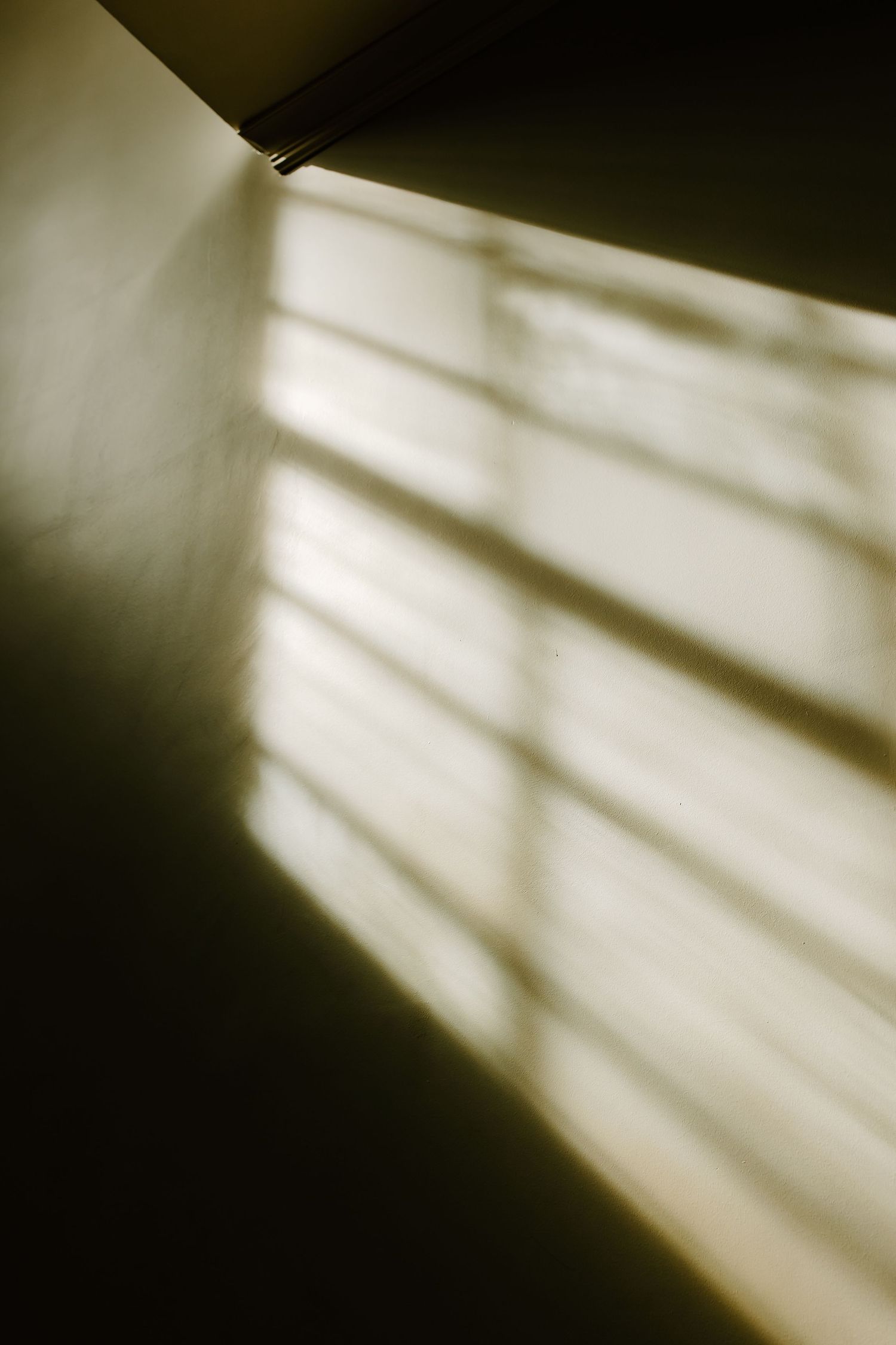 Abstract black and white image showing dramatic light and shadow patterns.