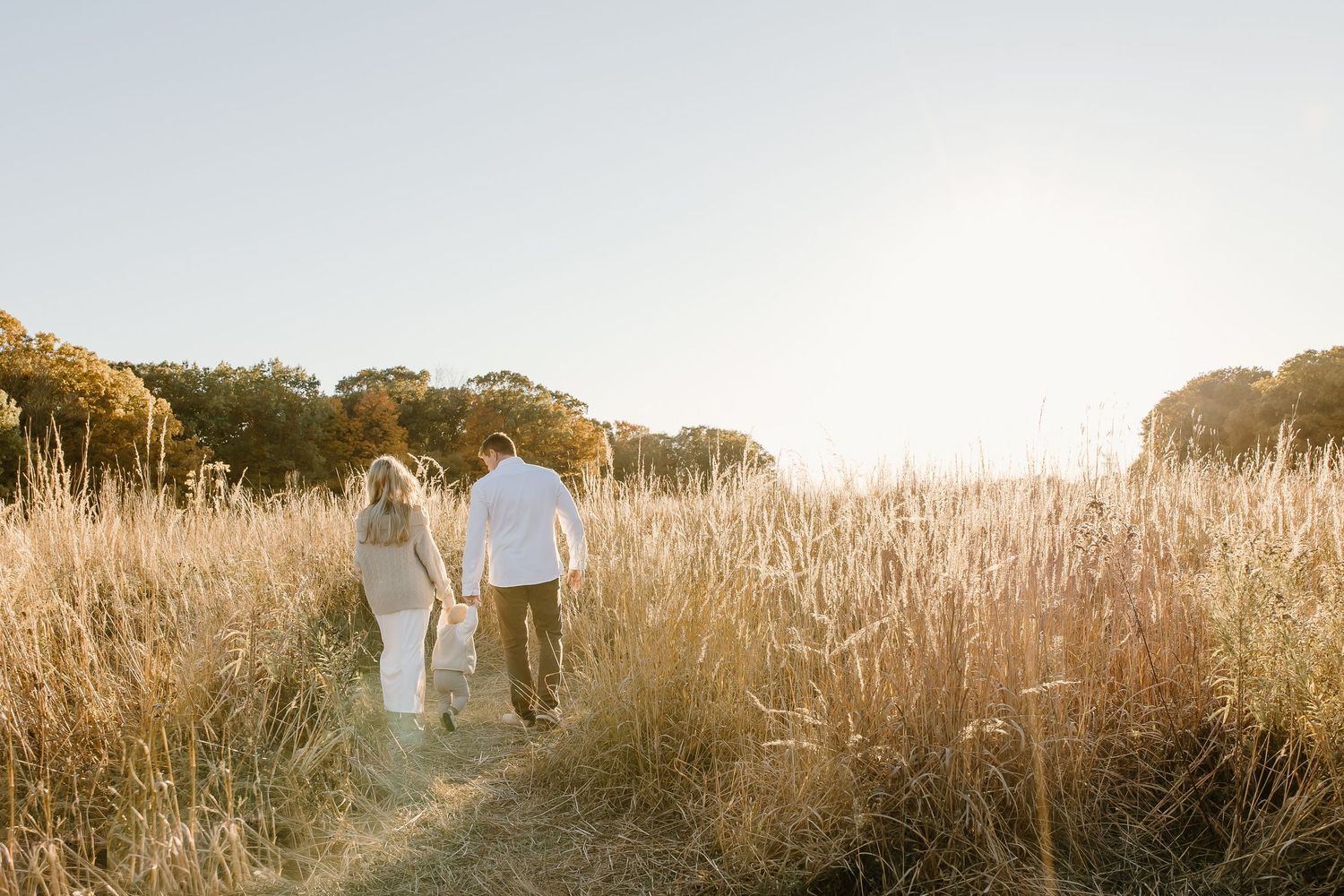 Two people walk hand in hand through a golden field at sunset.