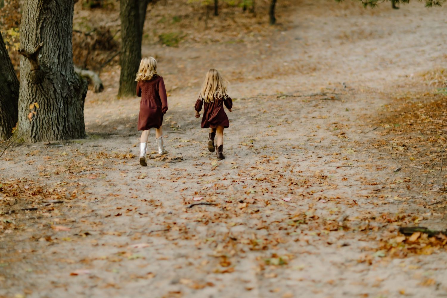 People walking together through sandy path in autumn forest setting.