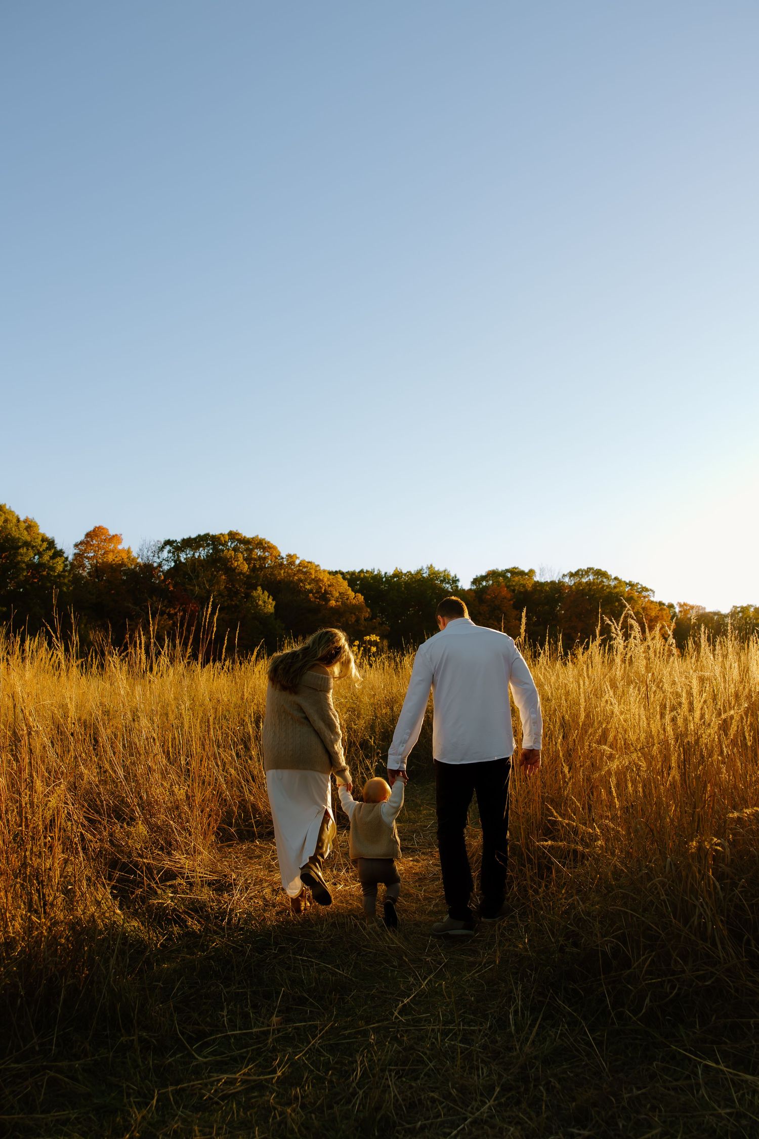 A family walks together through tall golden grass during sunset.