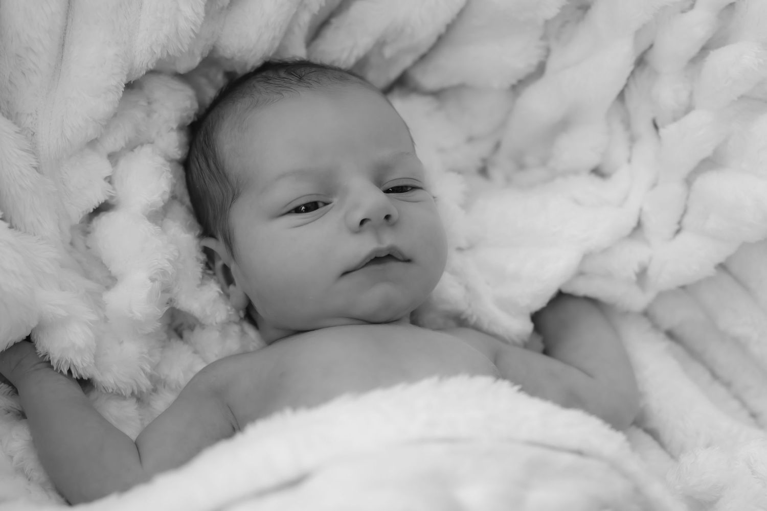Peaceful sleeping newborn nestled in soft white textured blankets.