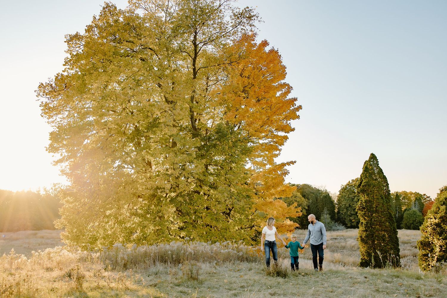 Family enjoying an autumn photoshoot in a park with golden trees and warm sunlight during sunset.