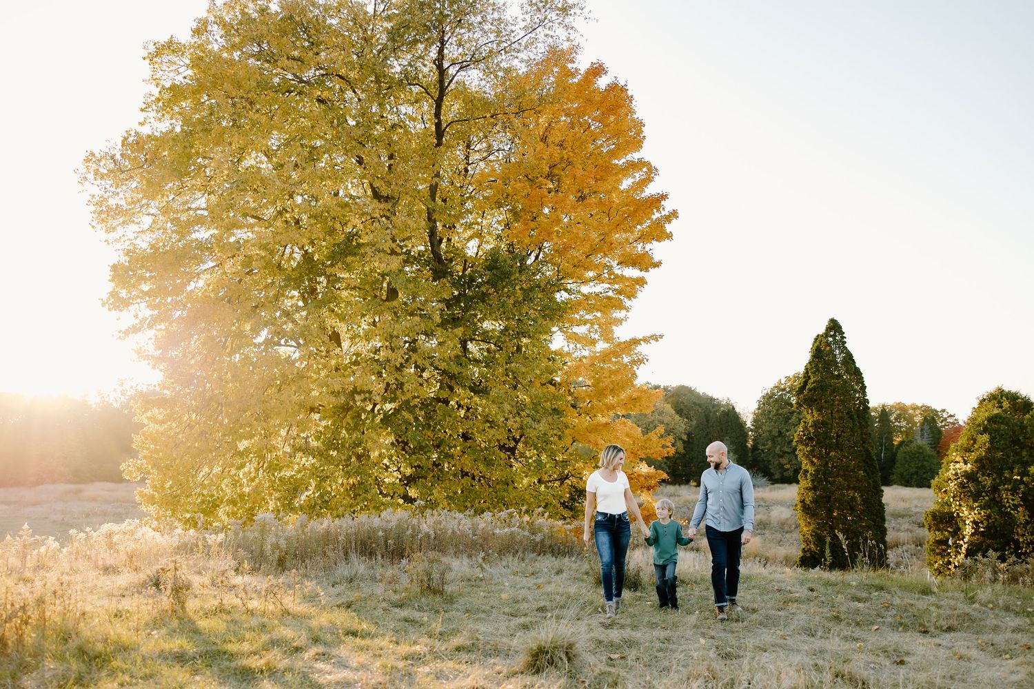 Family walking together under golden autumn trees during sunset.