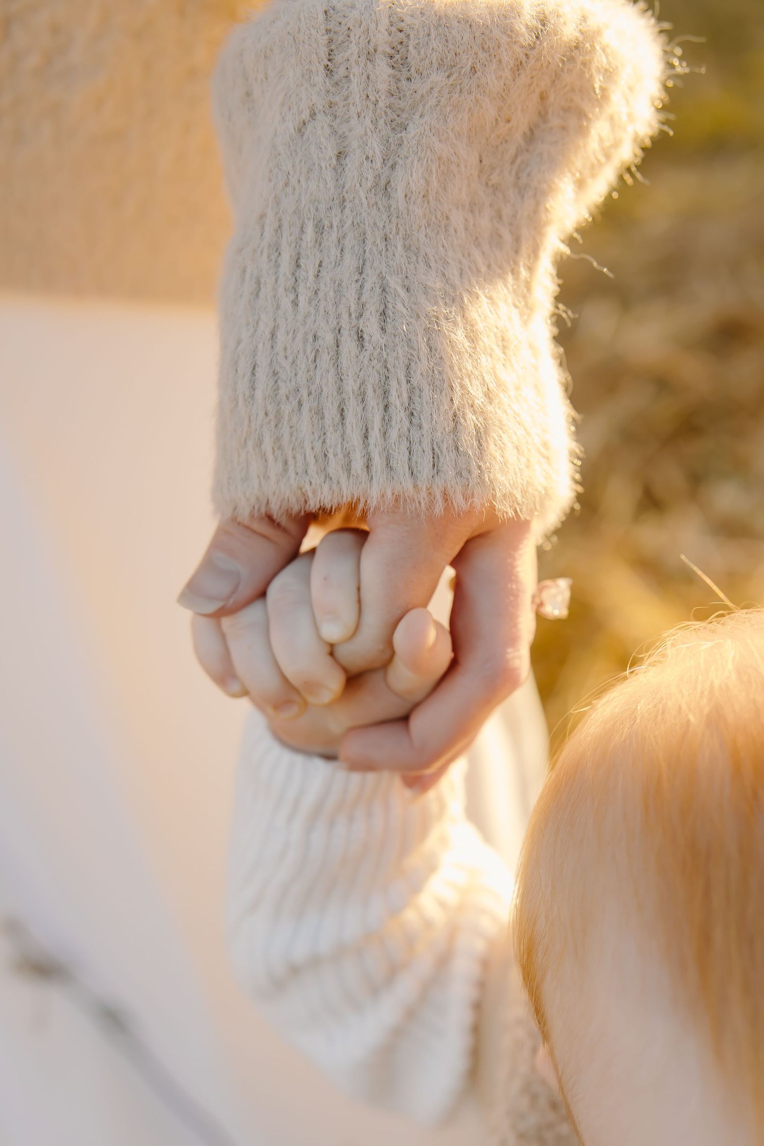 Close-up of hands holding each other against a soft white sweater in warm sunlight.