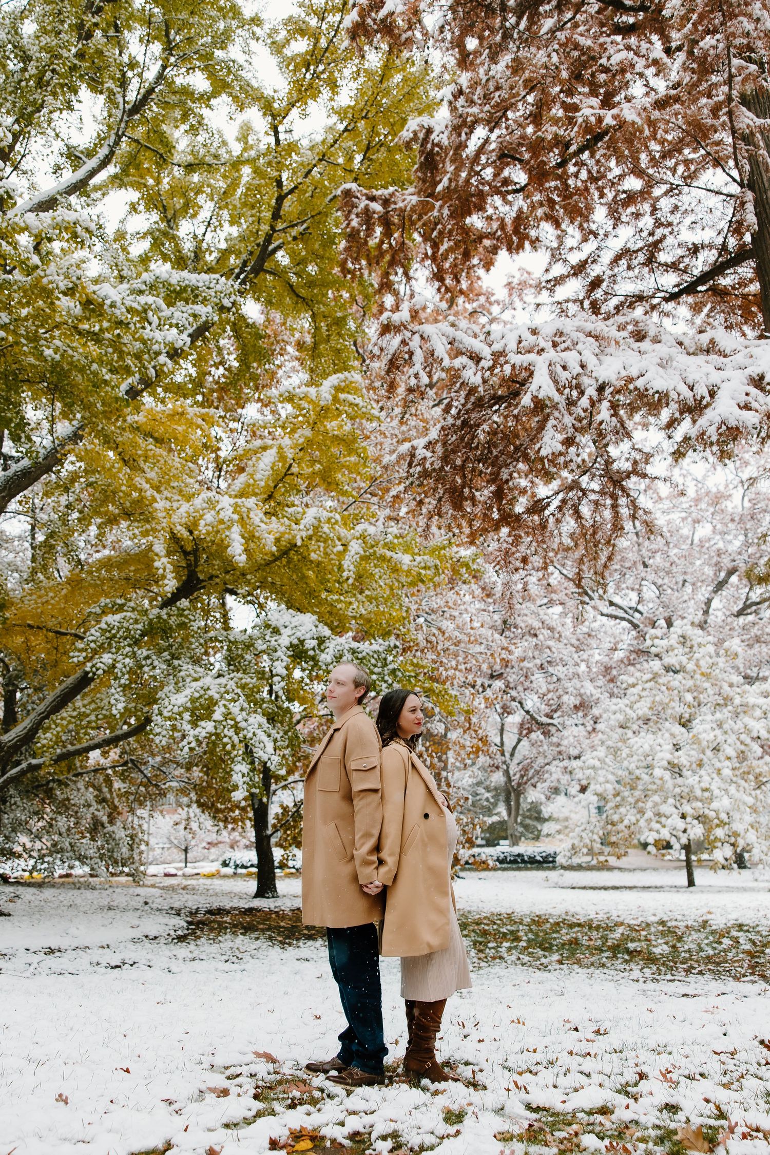Wide landscape maternity photos in snowy park with golden autumn leaves.
