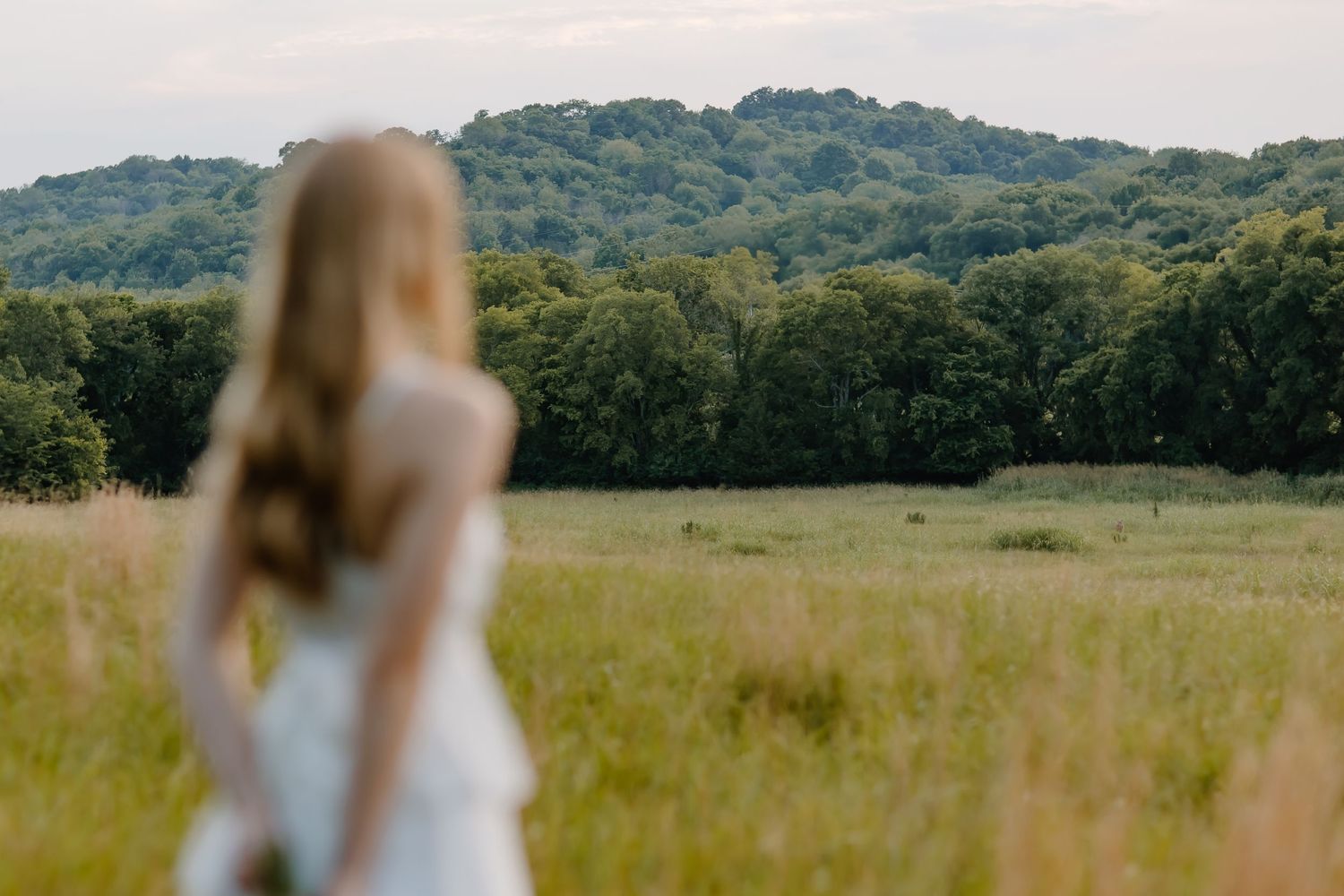Rolling green hills and meadows stretch out under a cloudy summer sky.