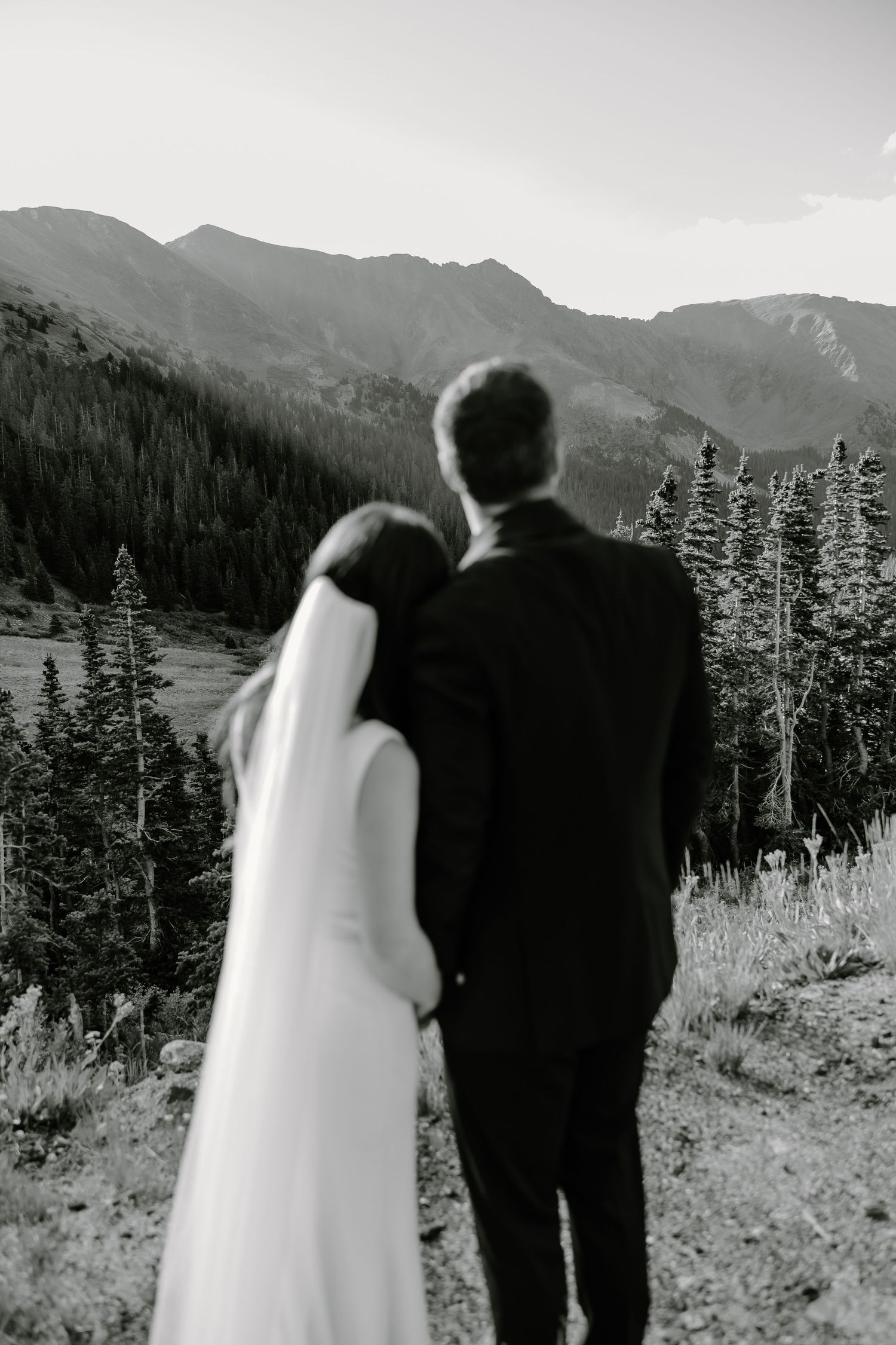 Silhouetted figures in formal attire stand against a mountain landscape with evergreen trees.