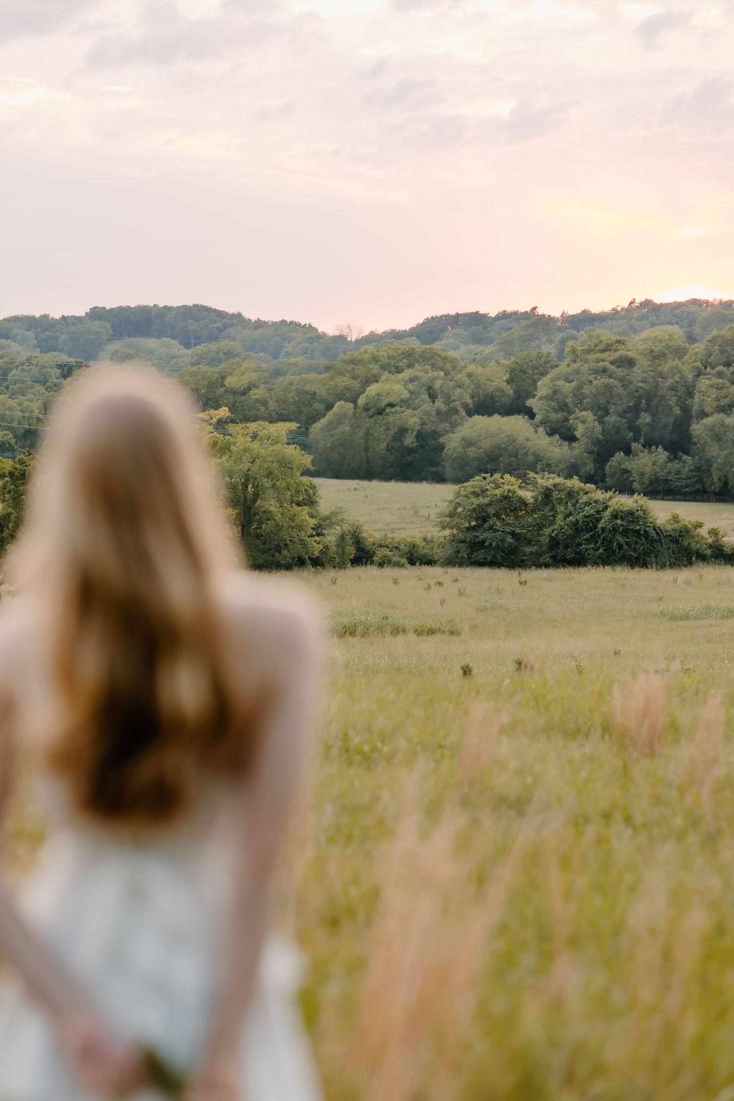 Person gazes across a serene meadow landscape with rolling hills and lush green forest in the background at sunset.