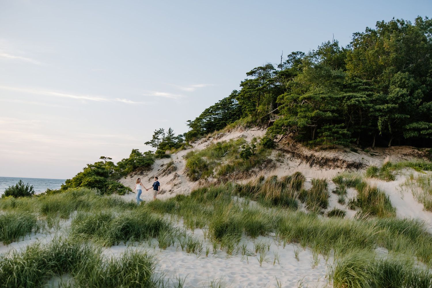 Panoramic view of sand dunes and beach grass against a bright blue sky.